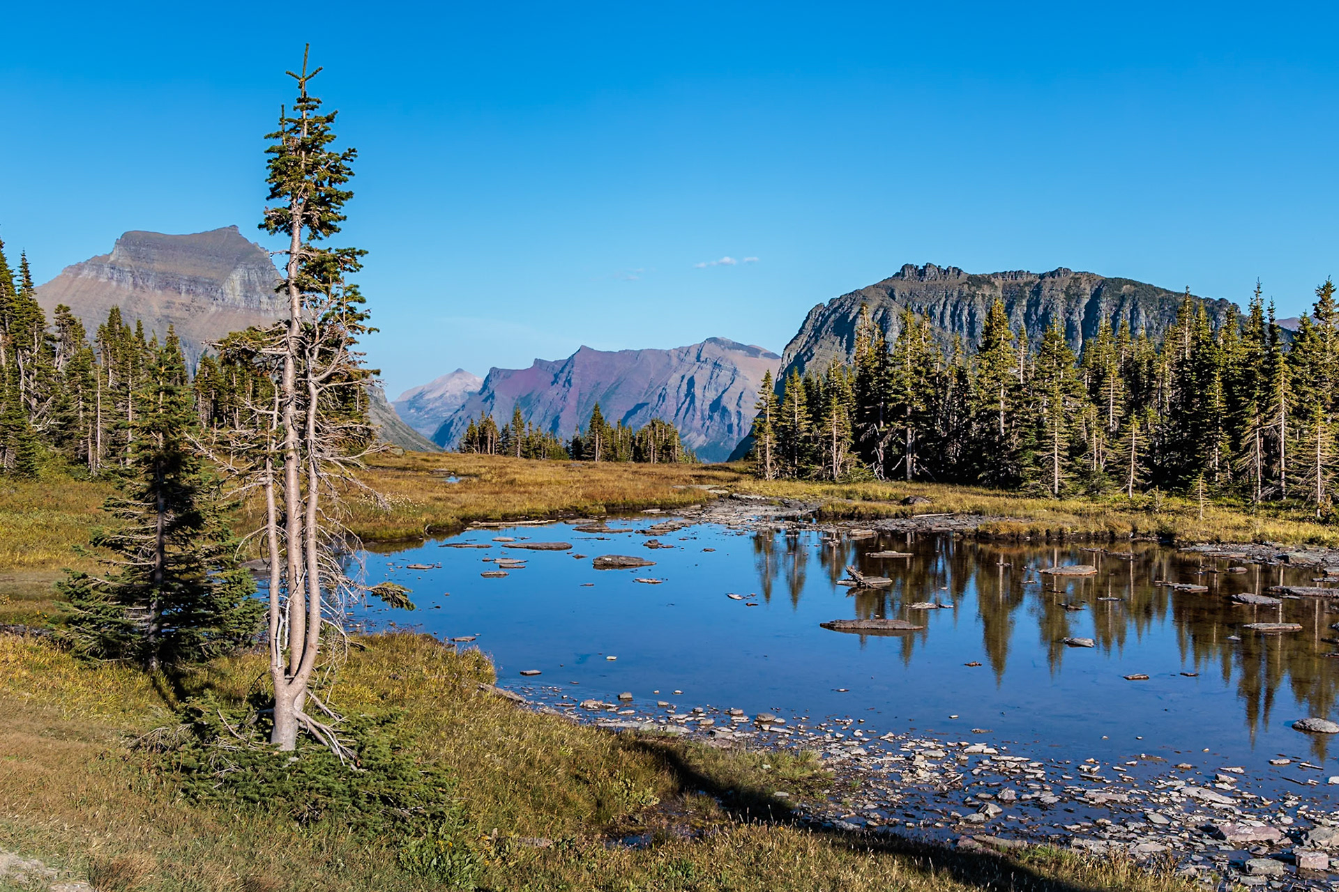 240905_116 Pond along the Hidden Lake Overlook Trail from the Logan Pass Visitor Center in Glacier Natioinal Park, Montana, USA