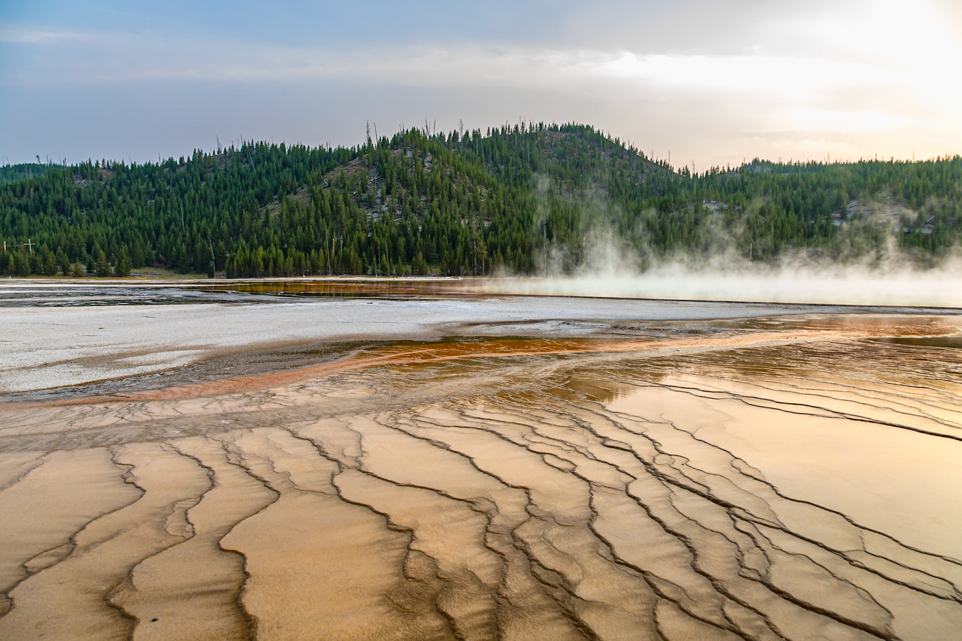 180819_355 Brown layered stratiform mats at the outer perimeter of the Grand Prismatic Spring in the Midway Geyser Basin of Yellowstone National Park, Wyoming