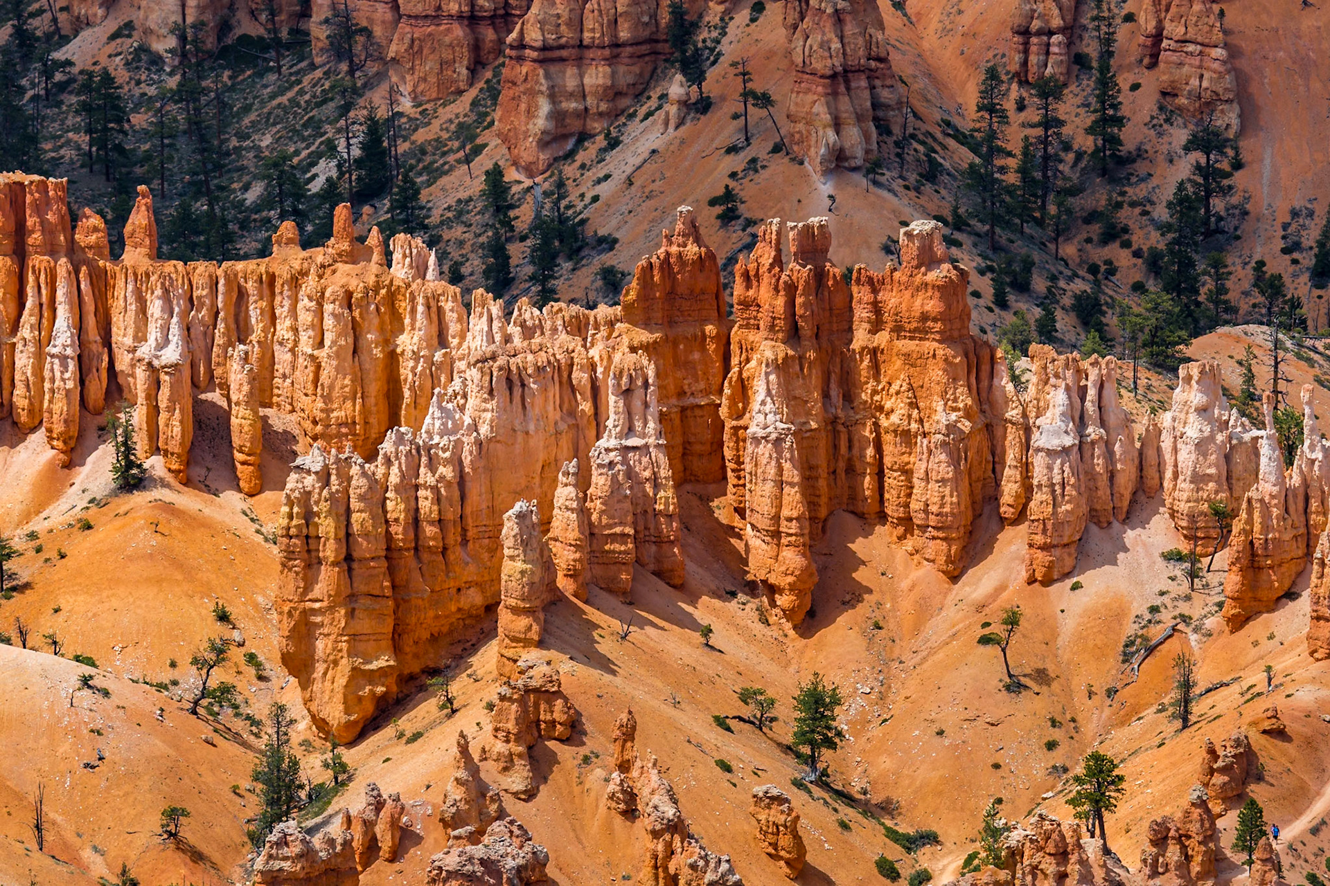 190603_346 Brice Point Overlook in Bryce Canyon National Park, Utah