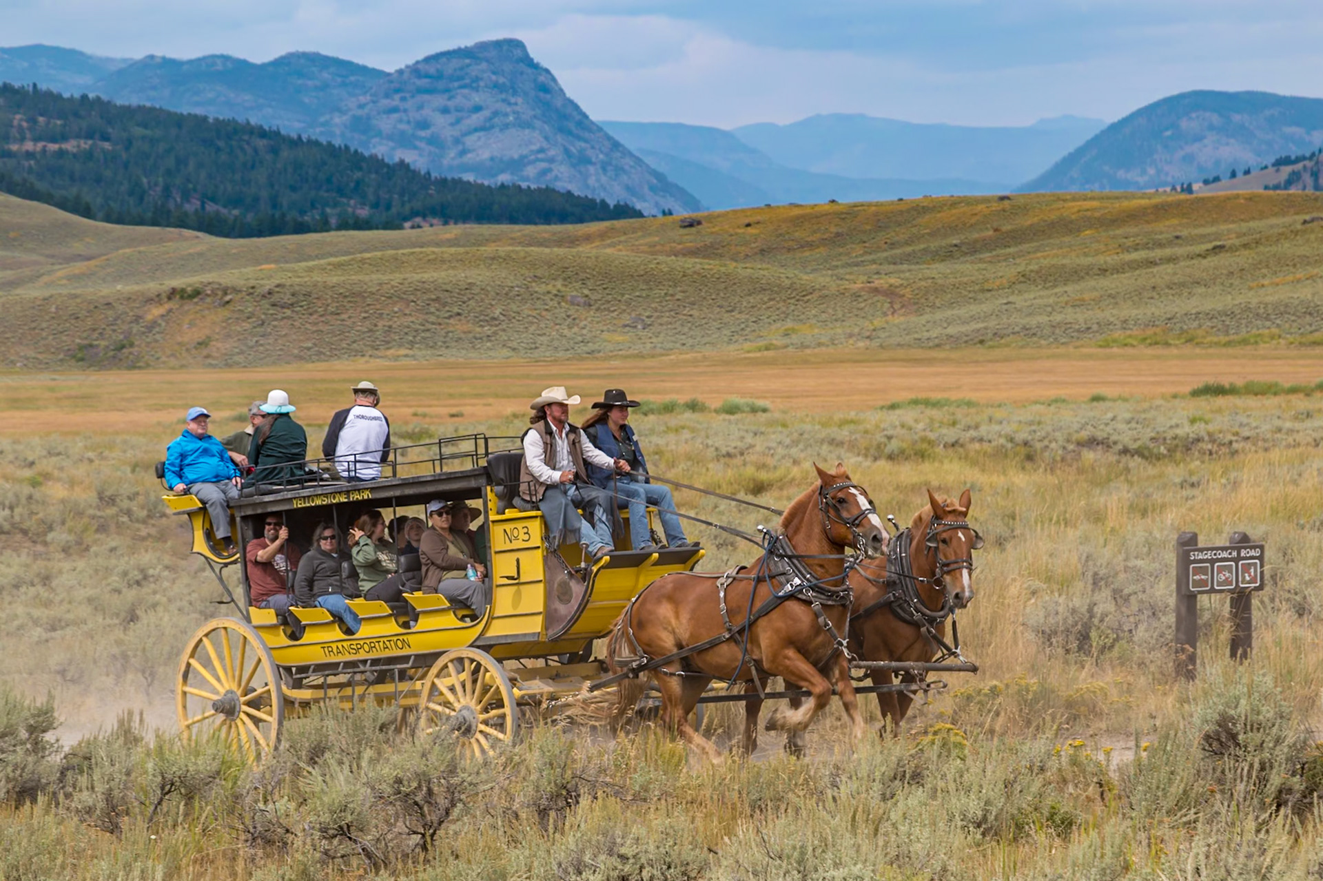 180822_077 Tourists riding horse-drawn stagecoach replicas through sage-covered meadow of Pleasant Valley in Yellowstone National Park, Wyoming