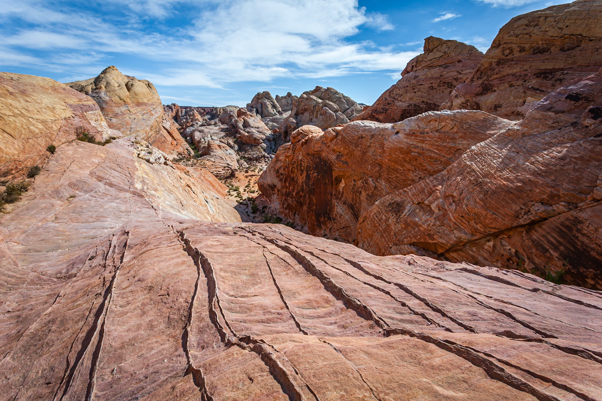 140503_176 Valley of Fire State Park near Overton, Nevada