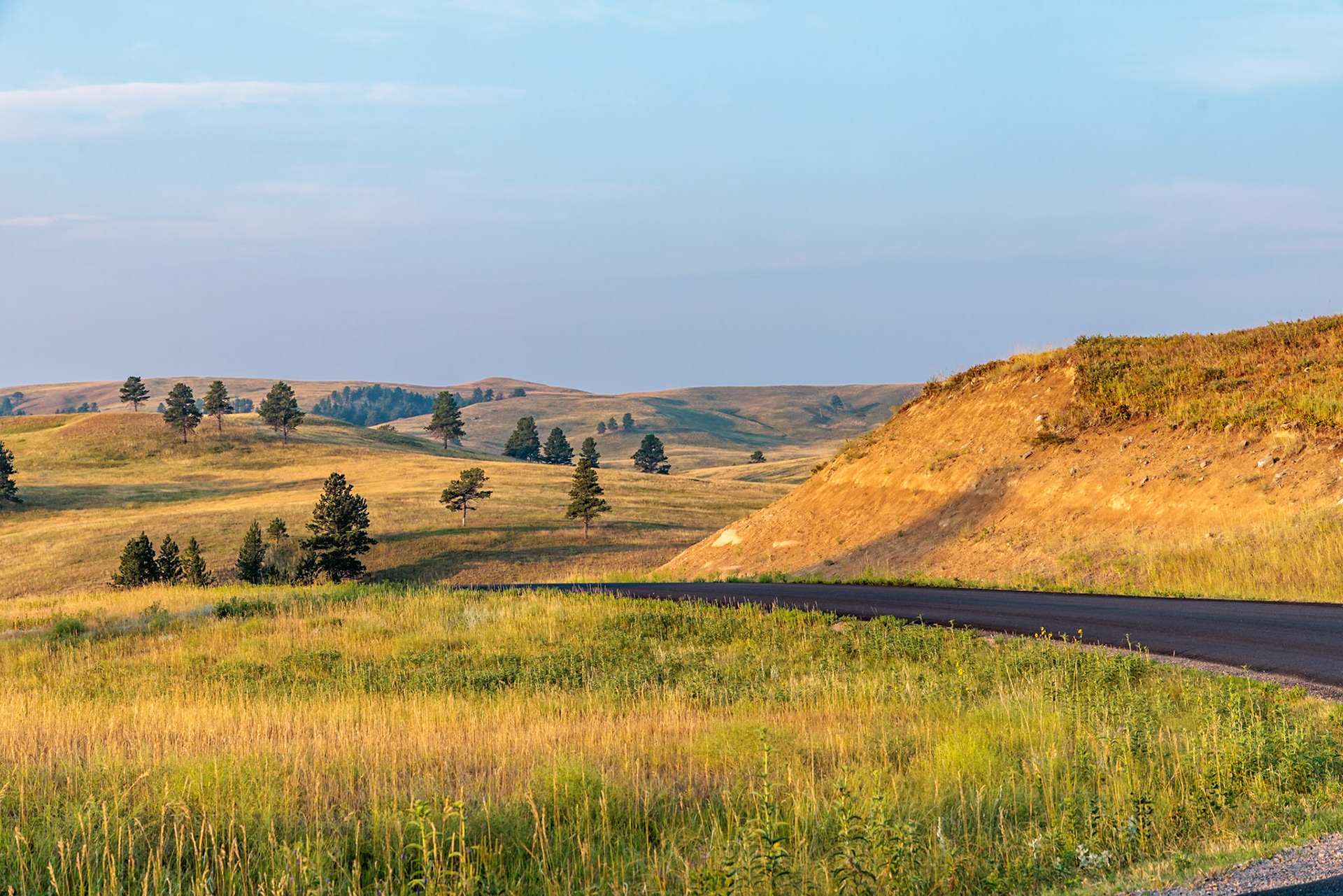 240816_054 Rolling hills on a grassland prairie in Custer State Park, South Dakota, USA