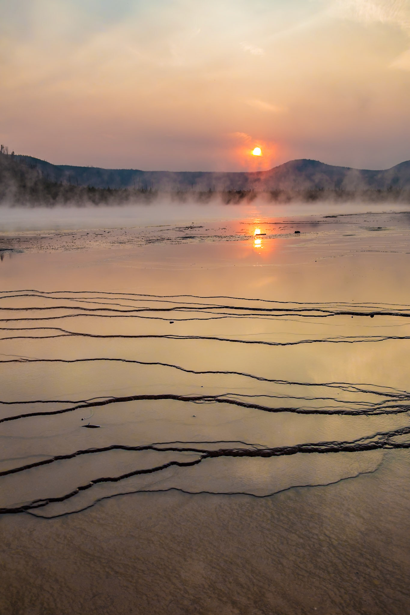 180819_356 Brown layered stratiform mats at the outer perimeter of the Grand Prismatic Spring in the Midway Geyser Basin of Yellowstone National Park, Wyoming