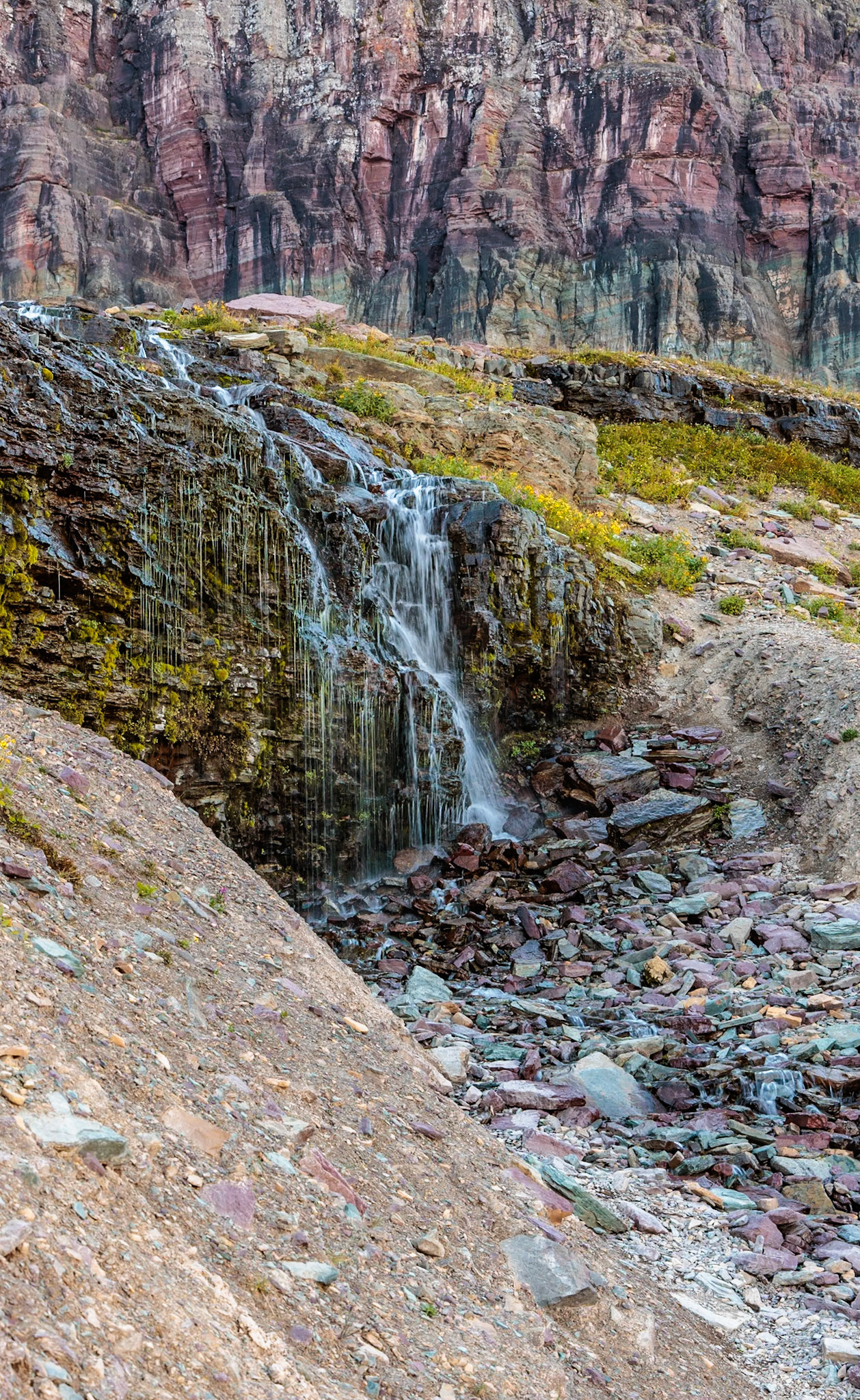 240905_126 Glacier National Park in Montana, USA