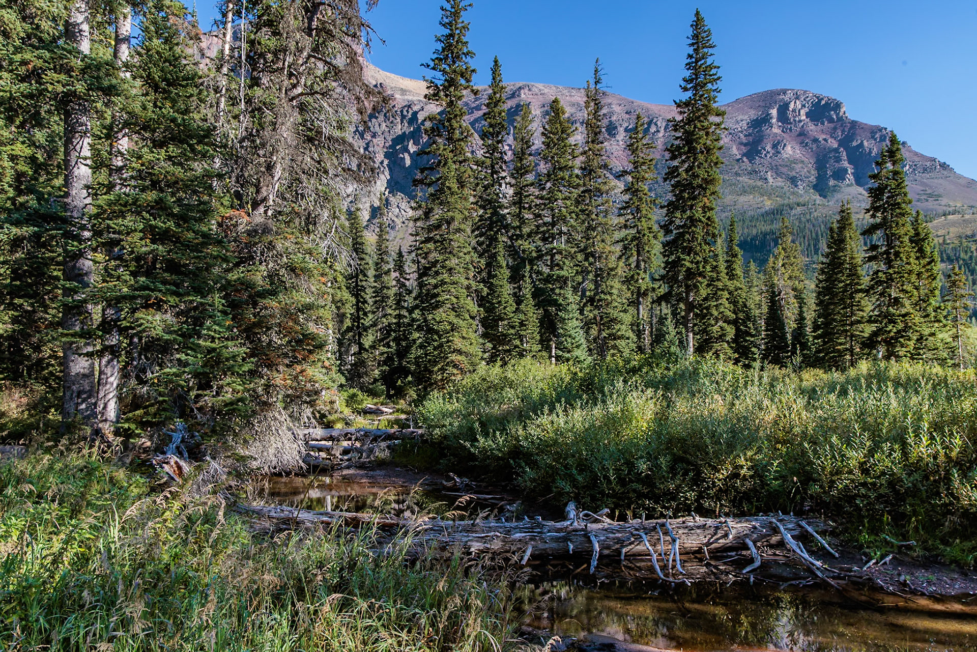 240906_077 Glacier National Park in Montana, USA