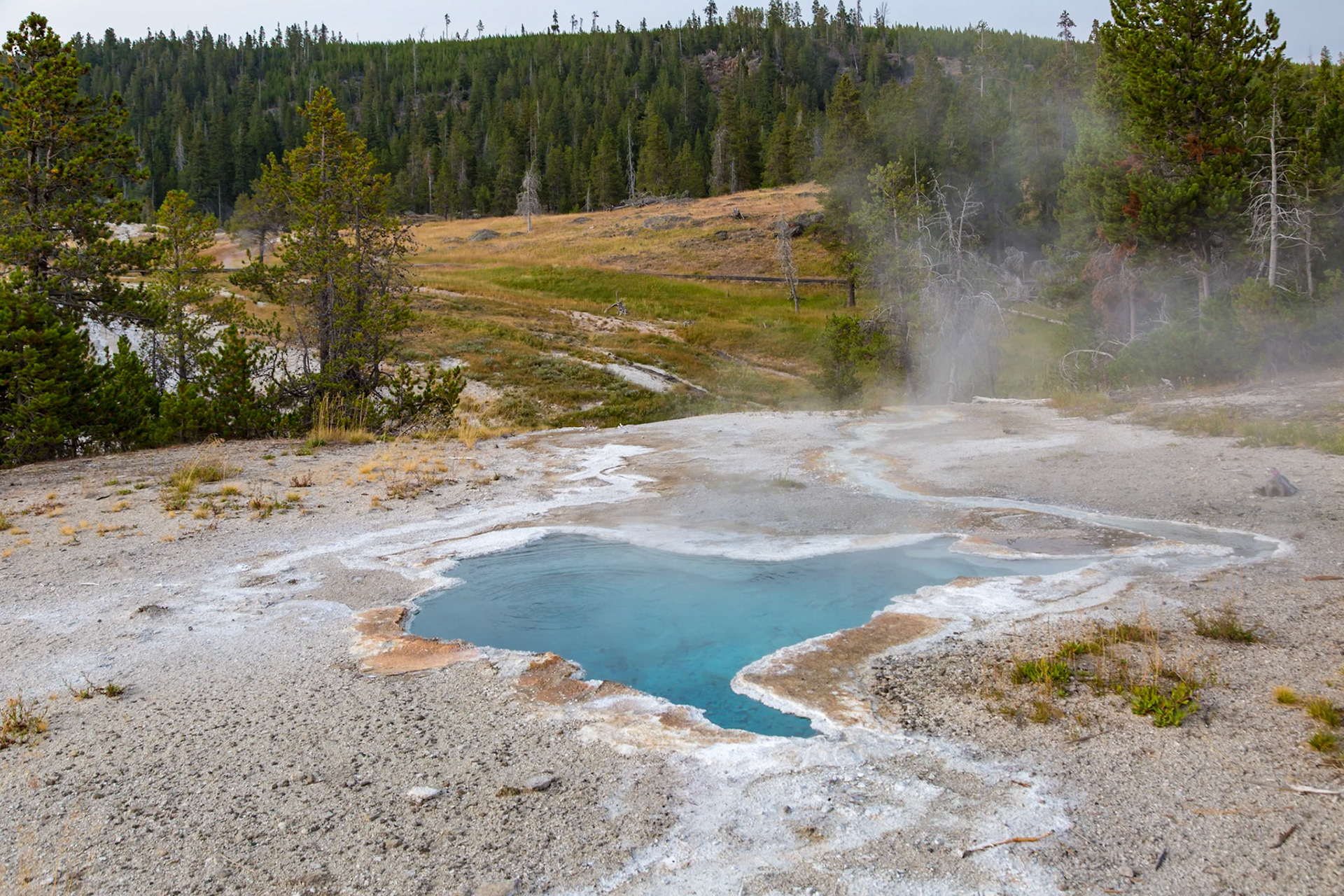 180818_050 Steam rising from a clear blue geyser in the Upper Geyser Basin at Yellowstone National Park
