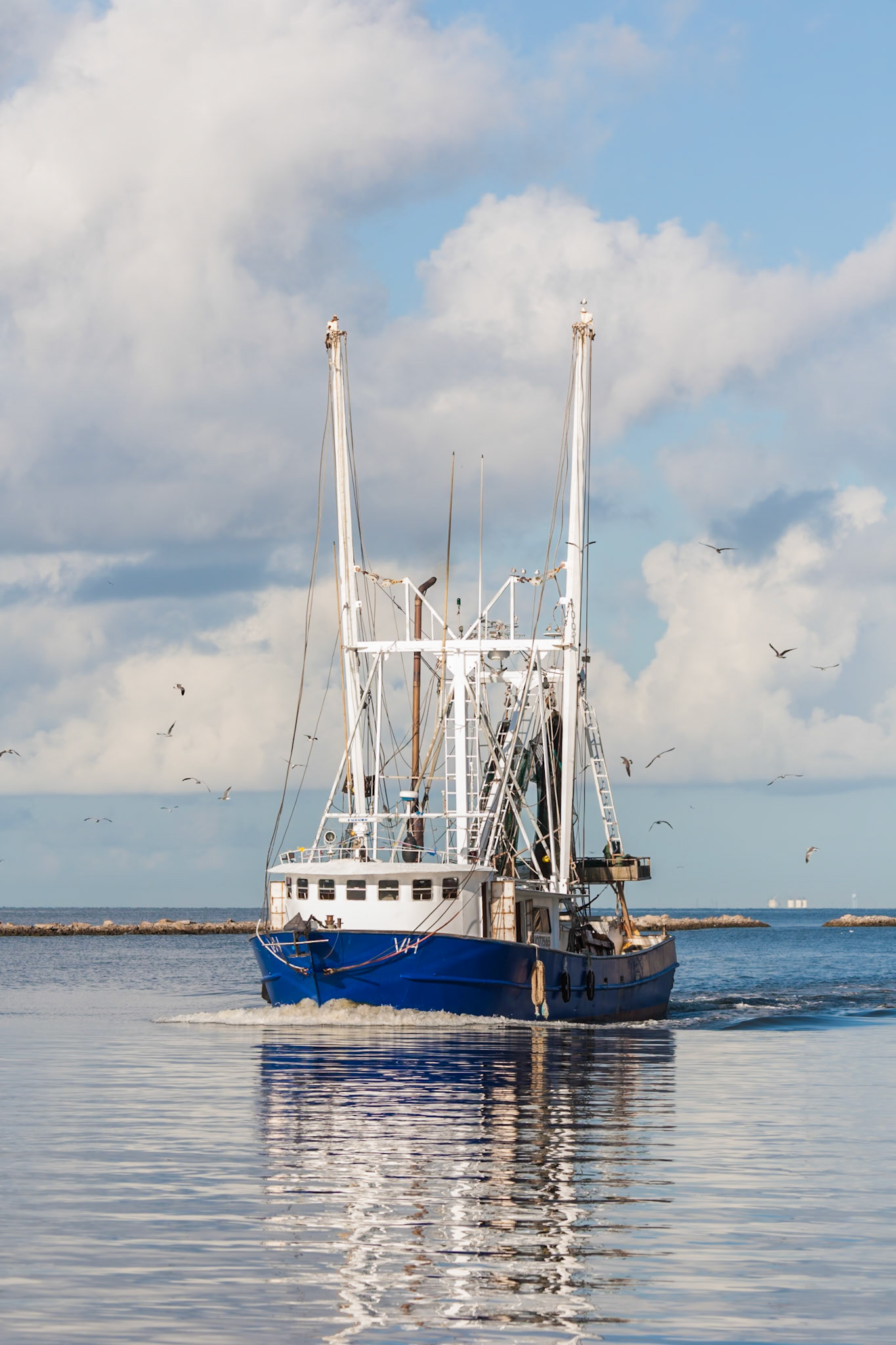 140911_017 Seagulls follow a commercial shrimp boat with a fresh catch back into harbor in Biloxi, Mississippi