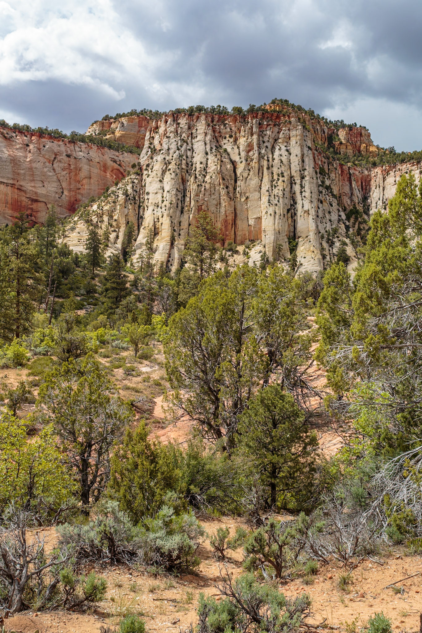 190529_286 Shear vertical cliffs on the rock formations in Zion National Park, Utah