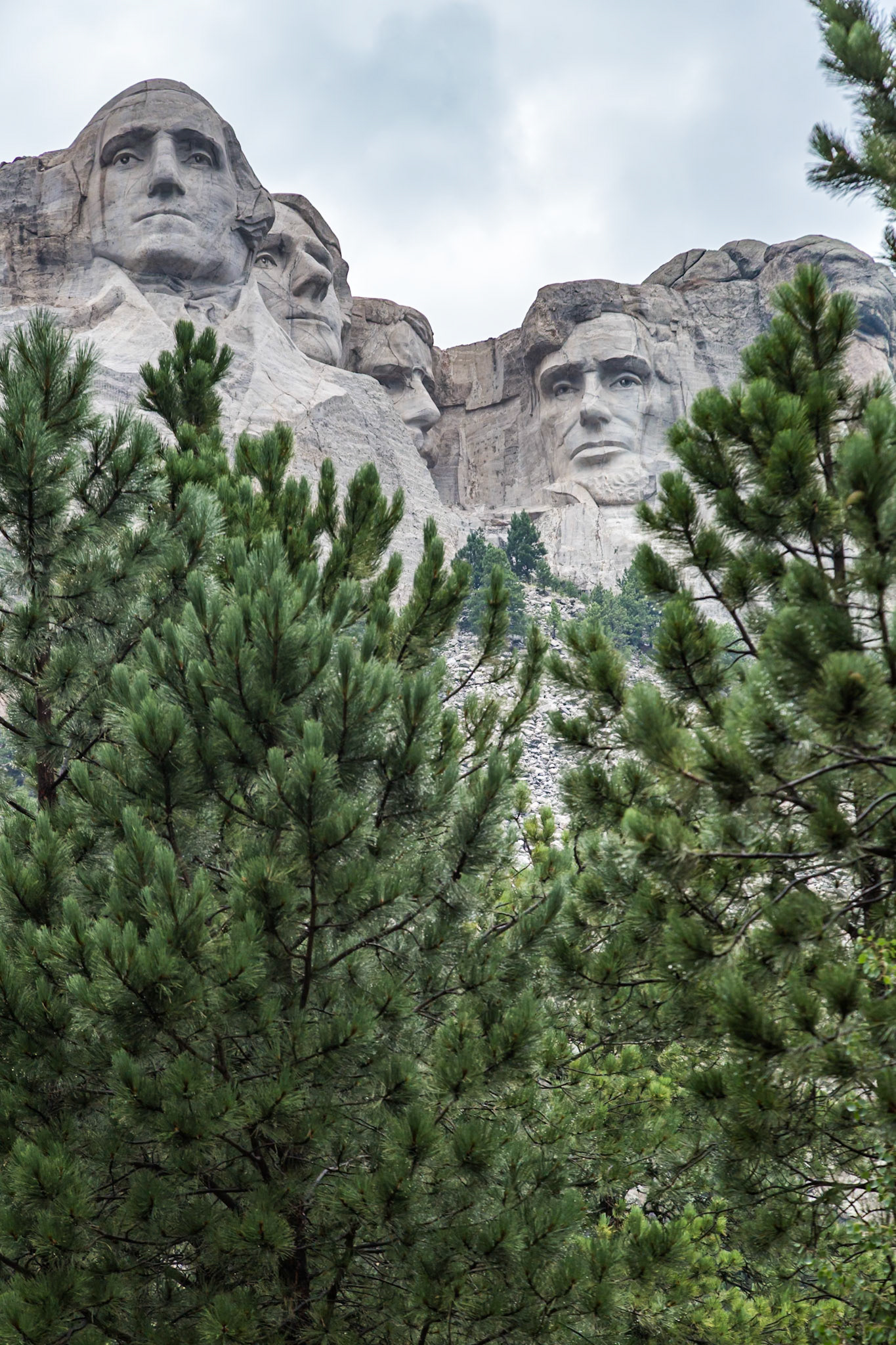180814_036 Carved granite busts of George Washington, Thomas Jefferson, Theodore "Teddy" Roosevelt and Abraham Lincoln framed by pine trees at Mount Rushmore National Monument near Keystone, South Dakota