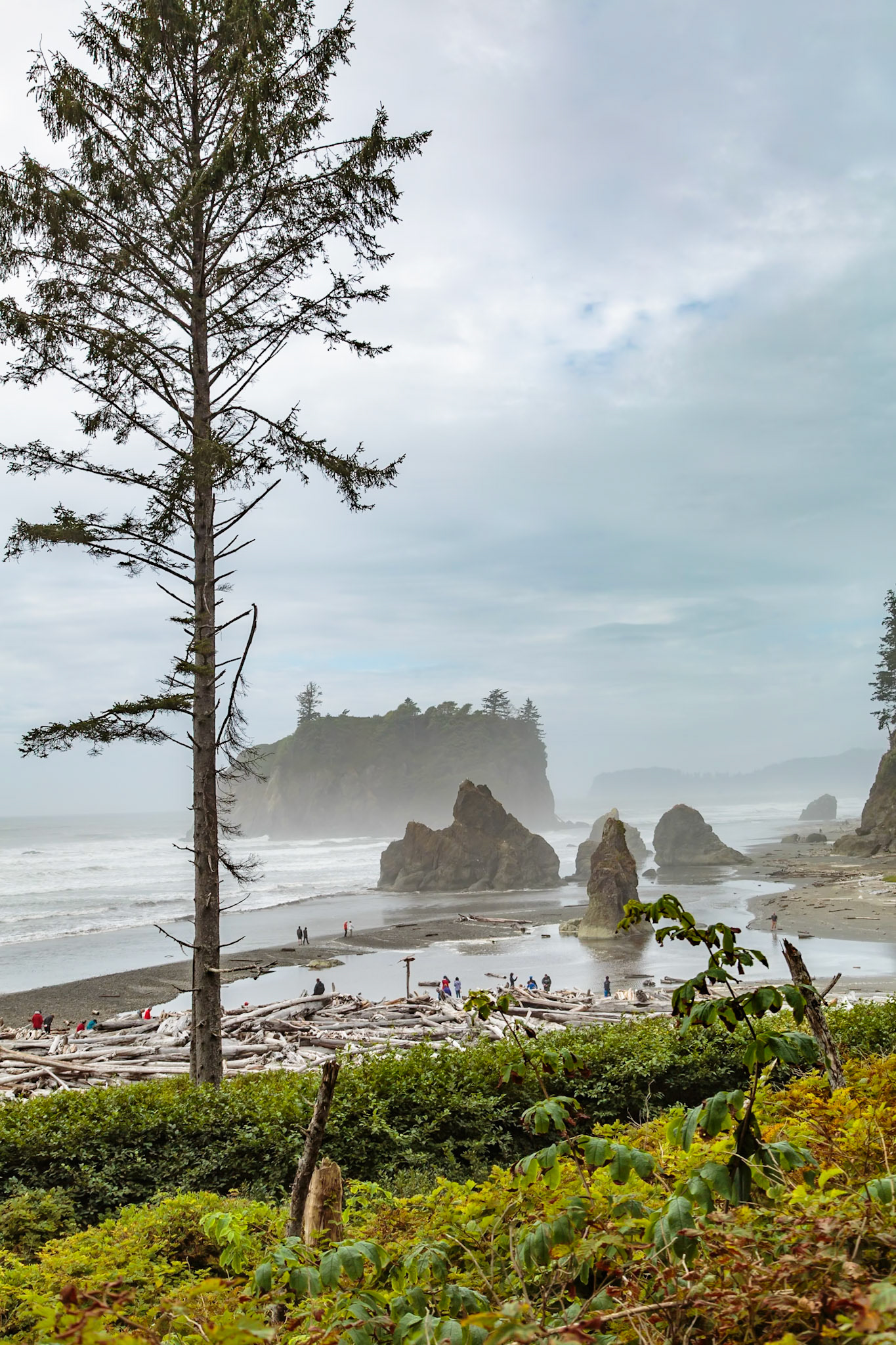 180910_073 Visitors walk amoung the driftwood, tide pools and seastacks at Ruby Beach in the Olympic National Park near Forks, Washington