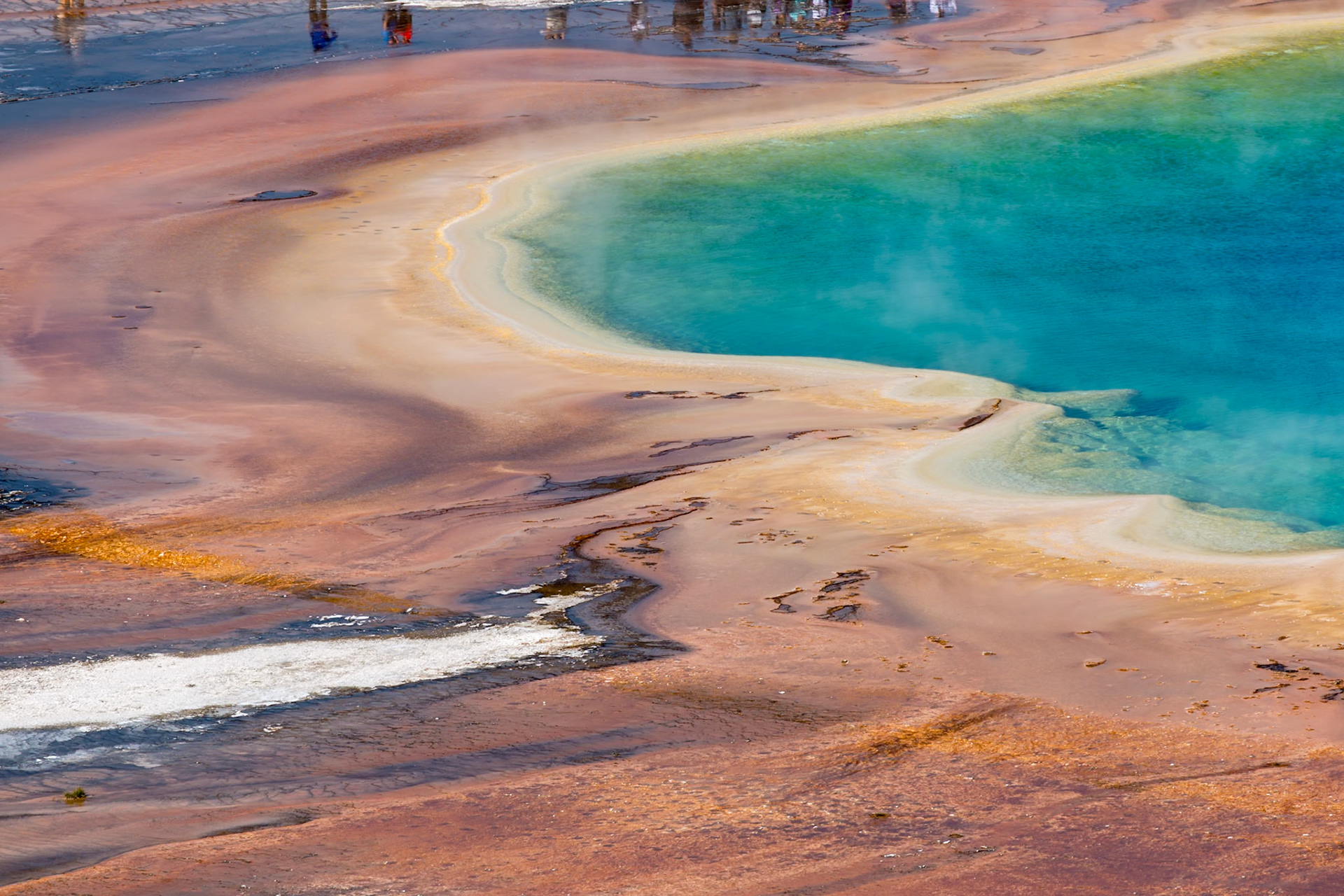 180823_013 Close up view of the outer perimeter of the Grand Prismatic Spring in the Midway Geyser Basin of Yellowstone National Park, Wyoming