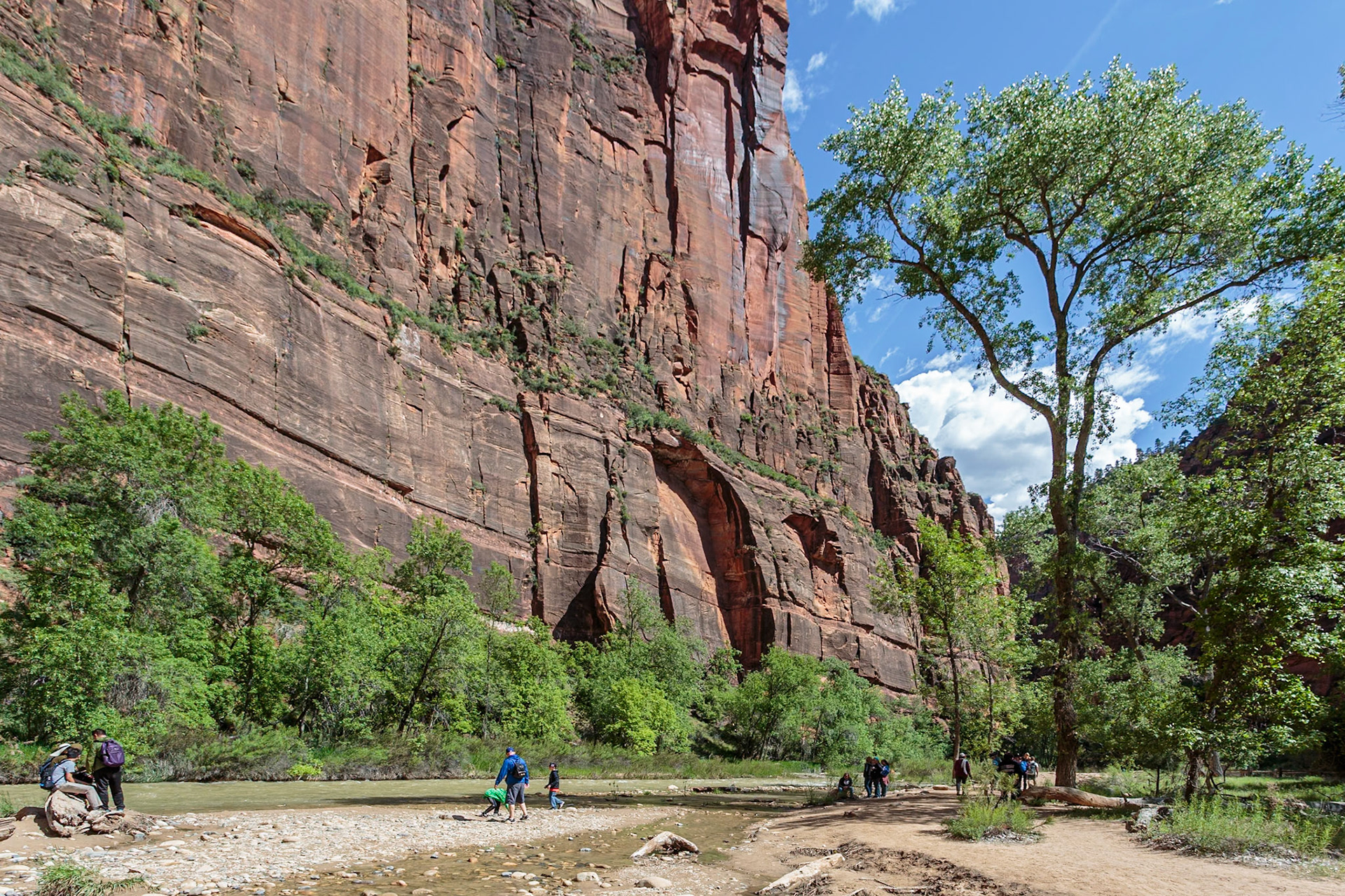 190531_372 Tourists walk along the Virgin River on the Riverside Walk in Zion National Park, Utah