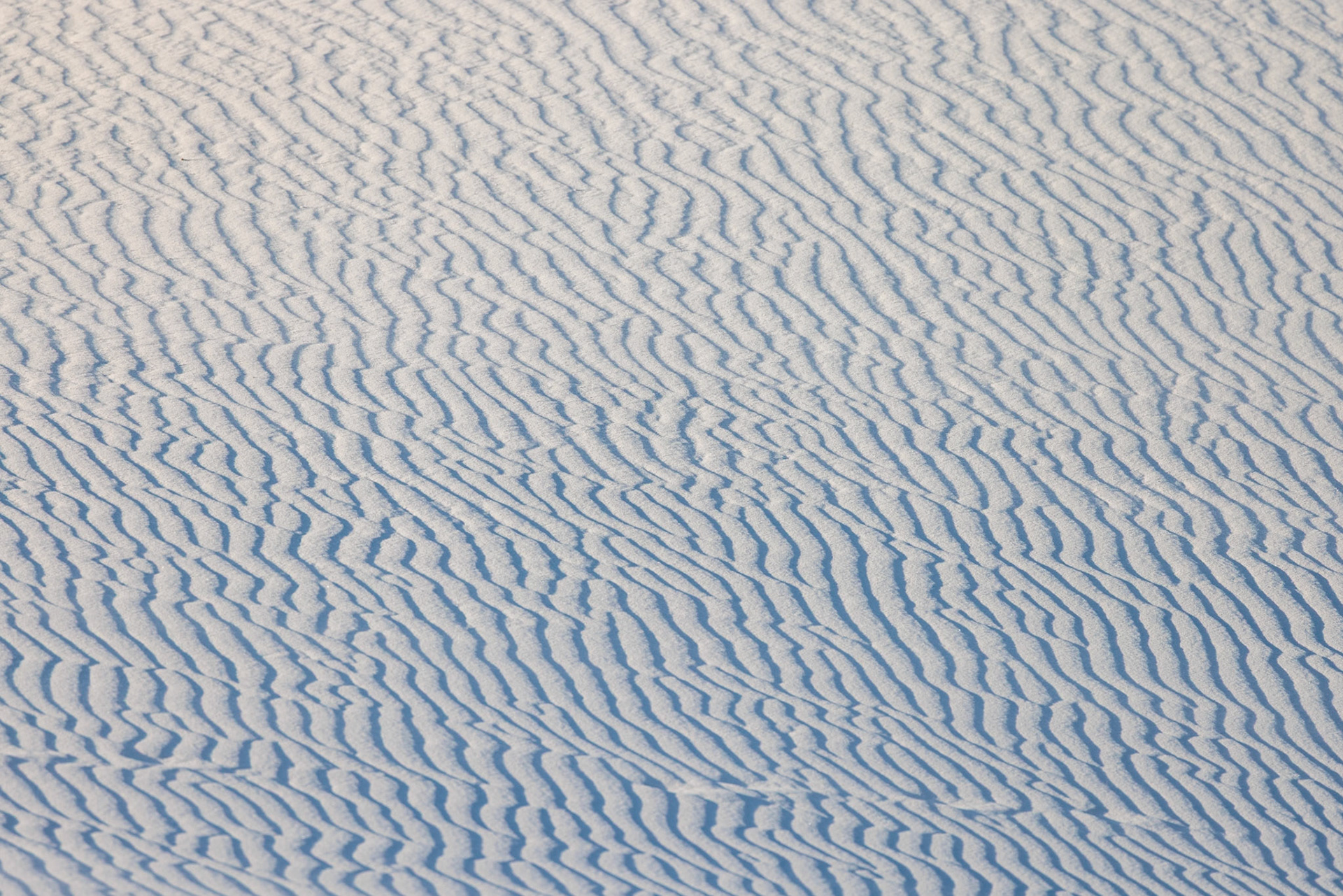 230323_116 Wind creates wave patterns in the sand dunes at White Sands National Park in Alamogordo, New Mexico, USA