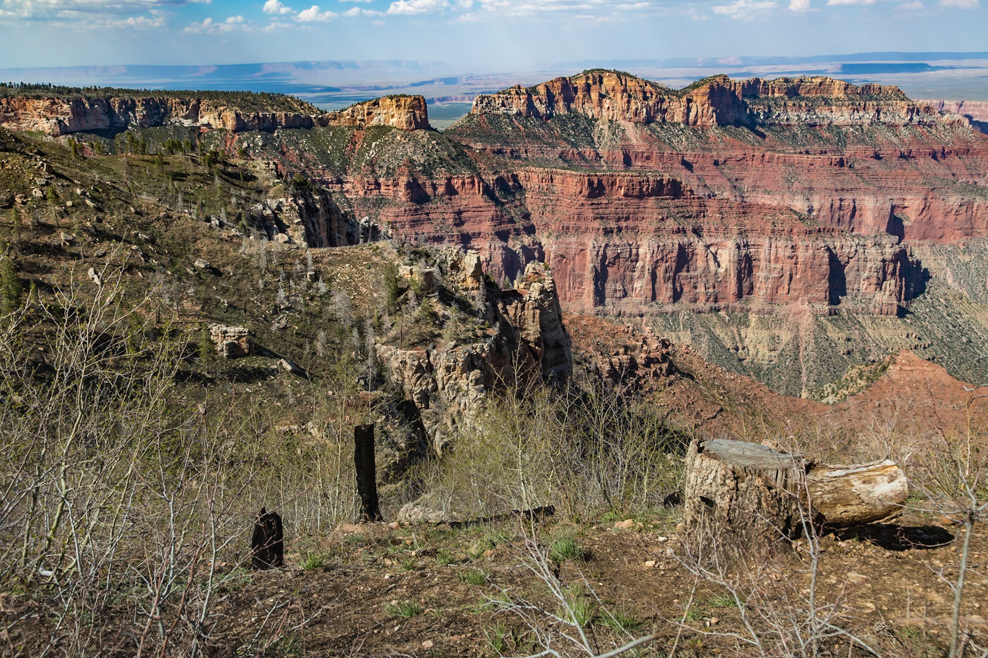 190601_171 North Rim of the Grand Canyon in Northern Arizona, USA