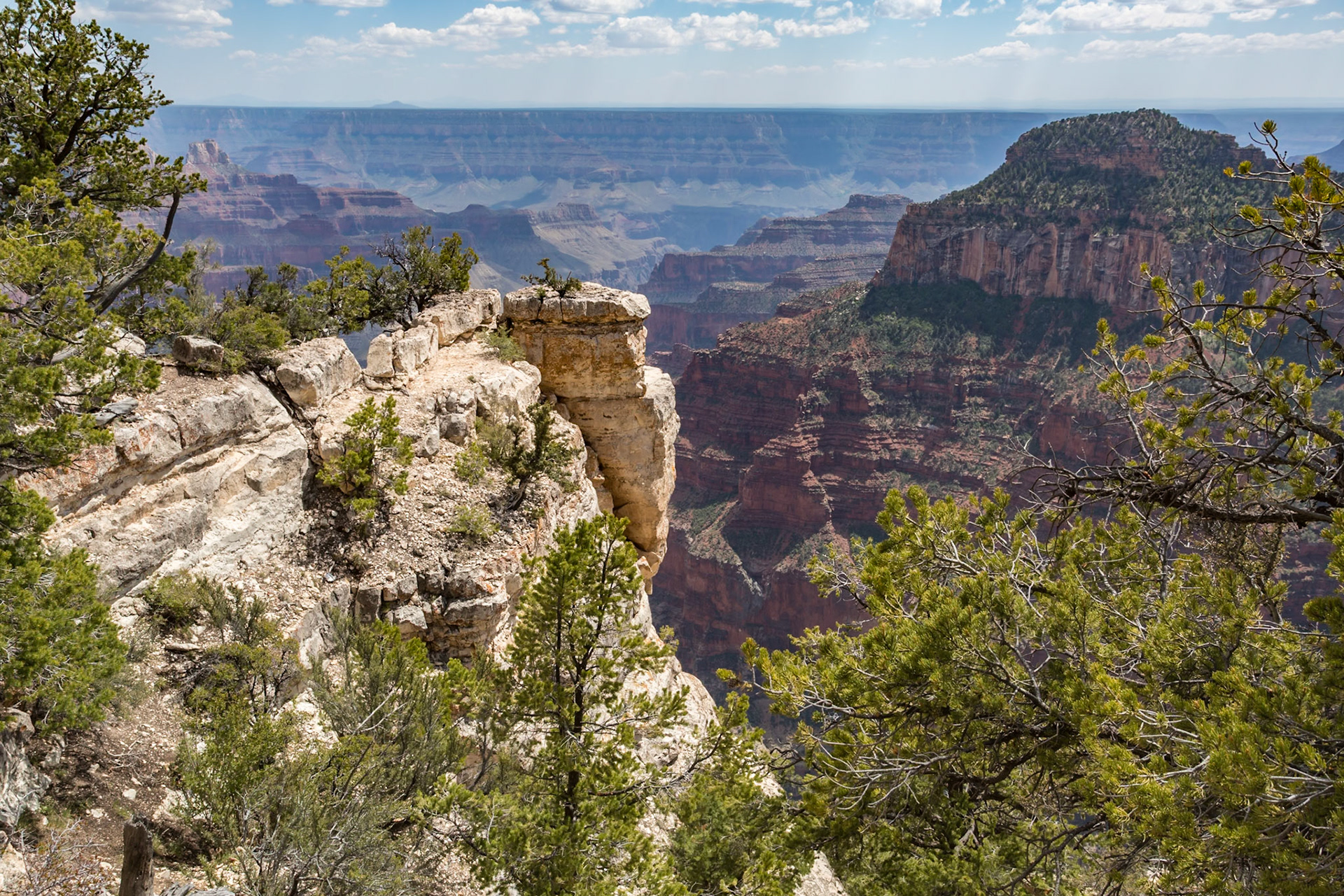 190601_108 North Rim of the Grand Canyon in Northern Arizona, USA