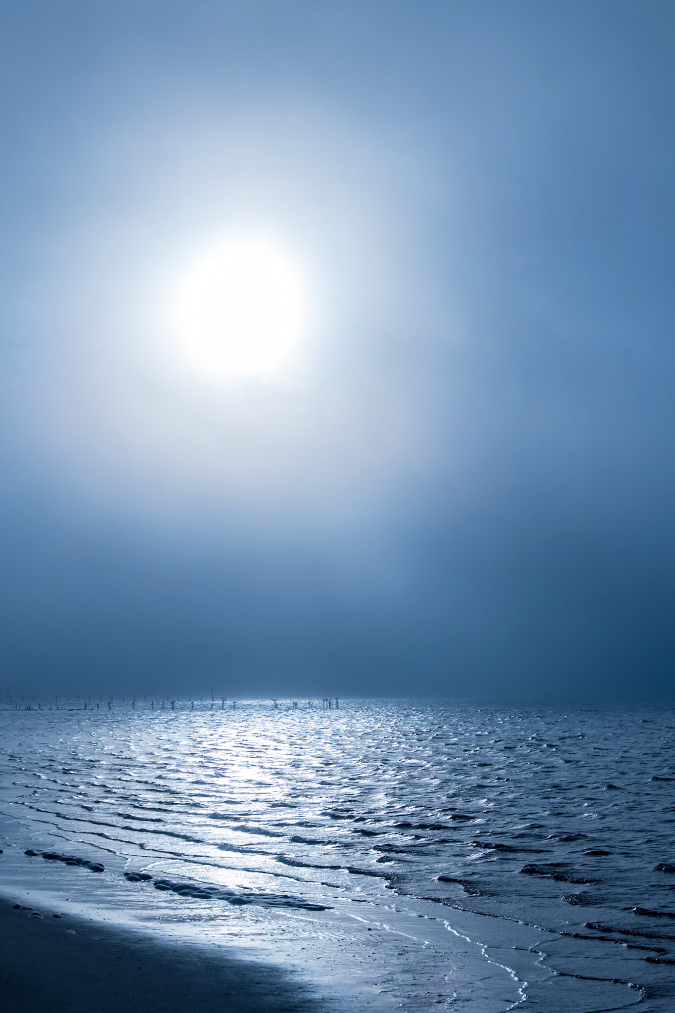 211231_026 Morning sun shining through the dense fog reflecting on the waters of the Biloxi Bay at Front Beach in Ocean Springs, Mississippi