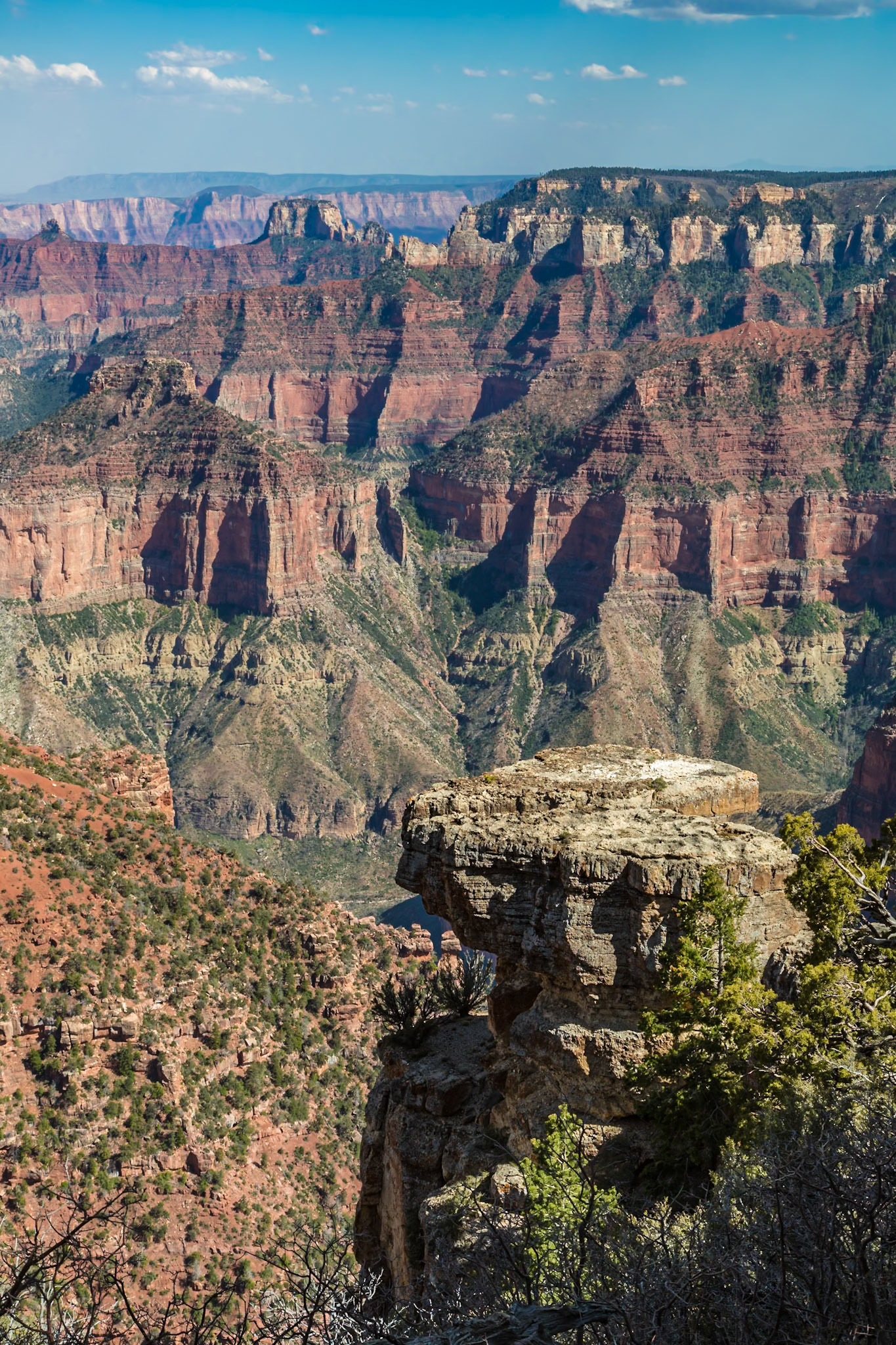 190601_150 North Rim of the Grand Canyon in Northern Arizona, USA