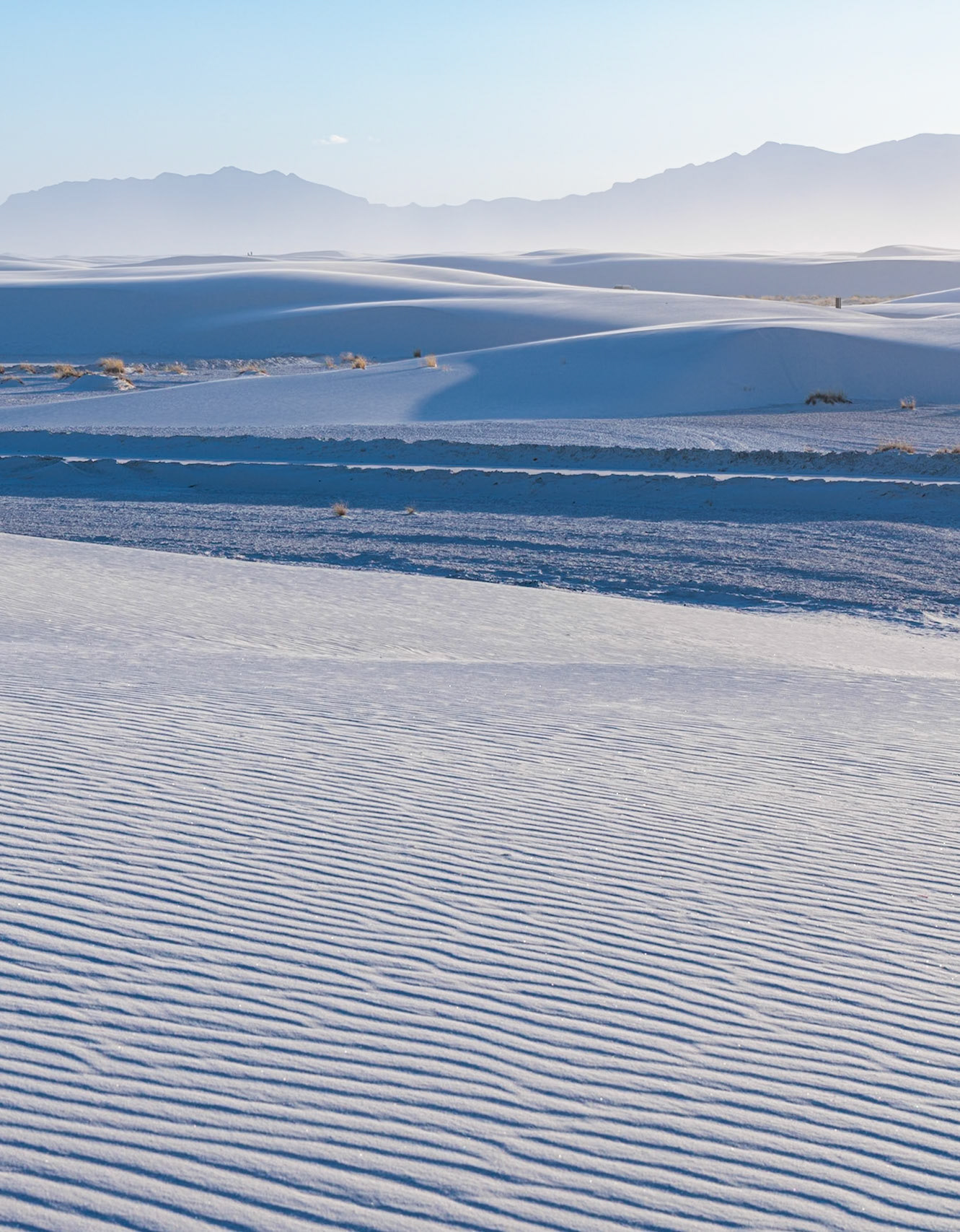 230323_134 Patterns in the dunes at White Sands National Park in Alamogordo, New Mexico, USA