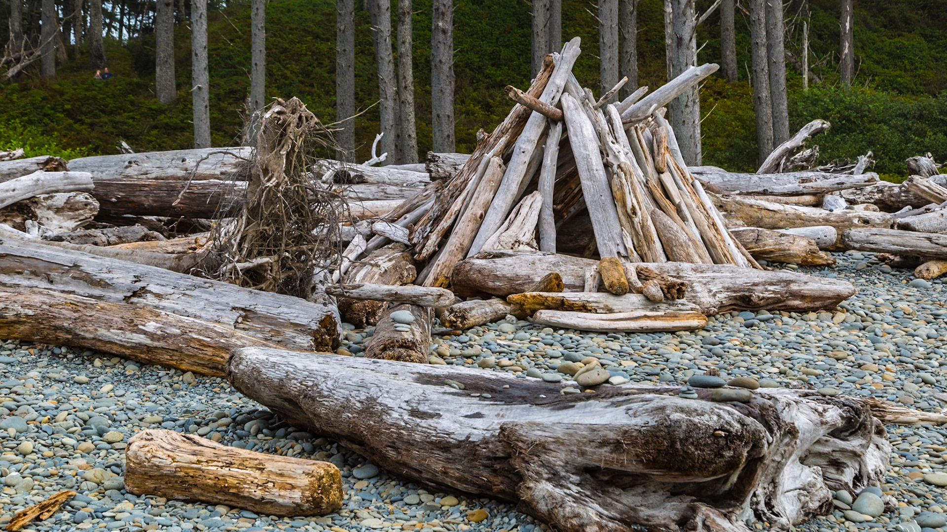 180910_103 Driftwood  stacked to make a shelter at Ruby Beach in the Olympic National Park near Forks, Washington