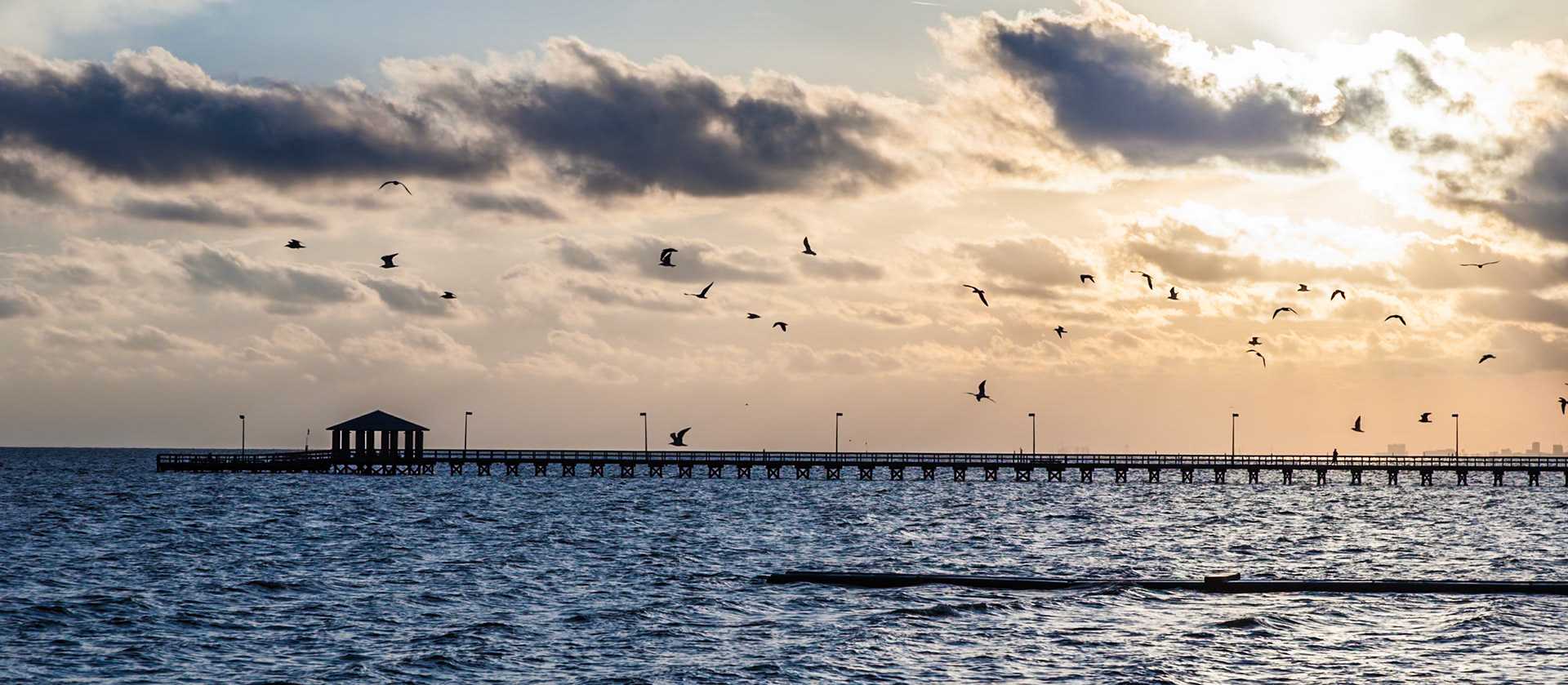 141011_076 Seagulls flying around the fishing pier in Biloxi, Mississippi