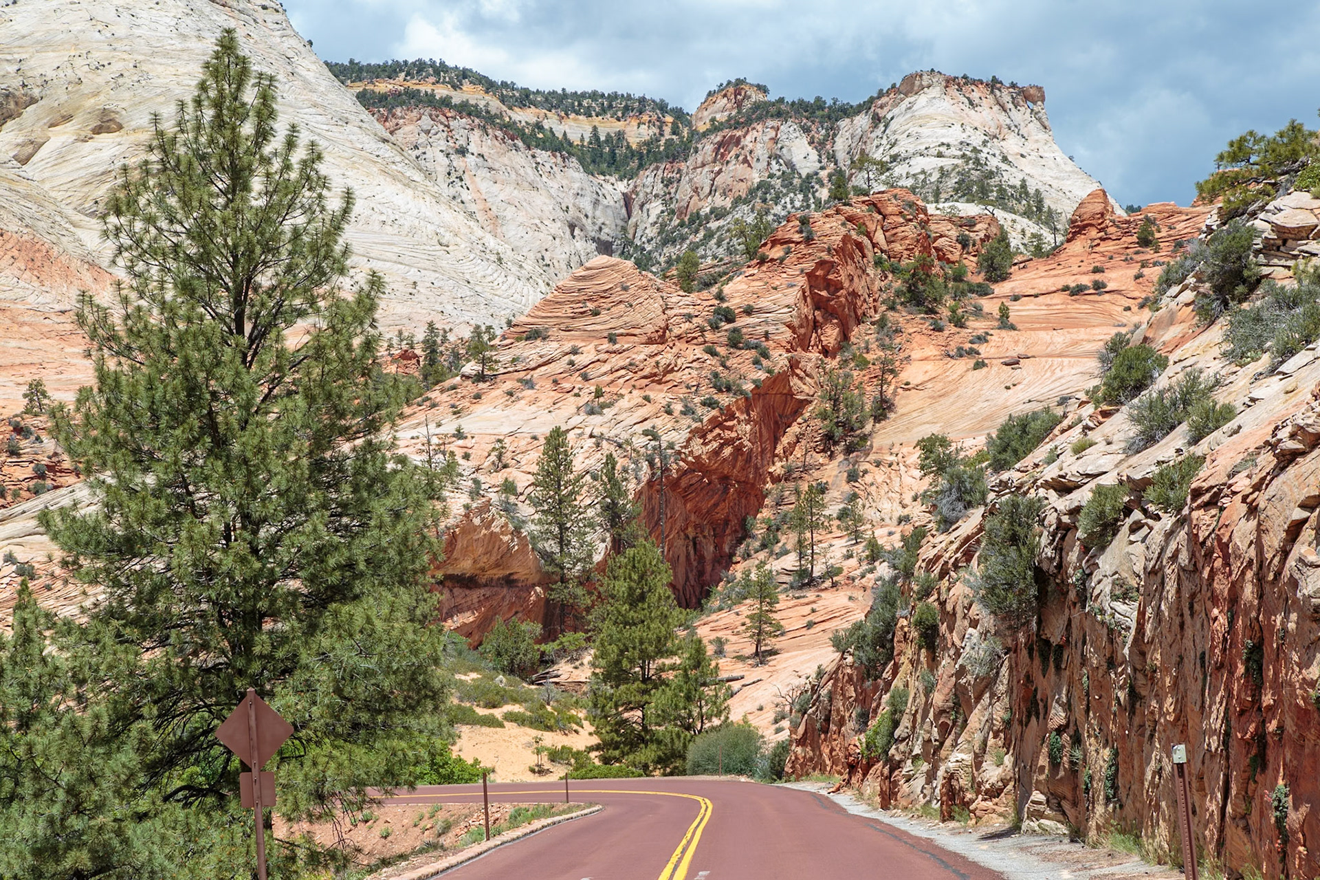 190529_139 Patterns of erosion on the rocky mountainside along the Zion Park Boulevard in Zion National Park, Utah