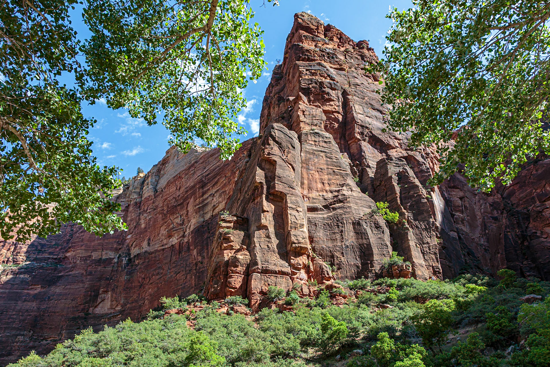 190531_319 Rugged sandstone rock formation along the Weeping Rock Trail in Zion National Park, Utah