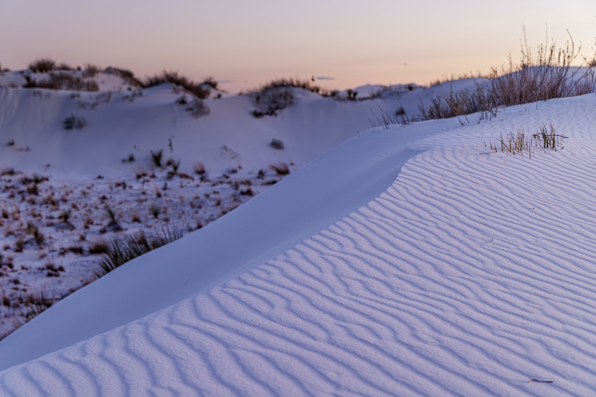 230323_194-E Windblown ripples on the white gypsum dunes at White Sands National Park in Alamogordo, New Mexico, USA