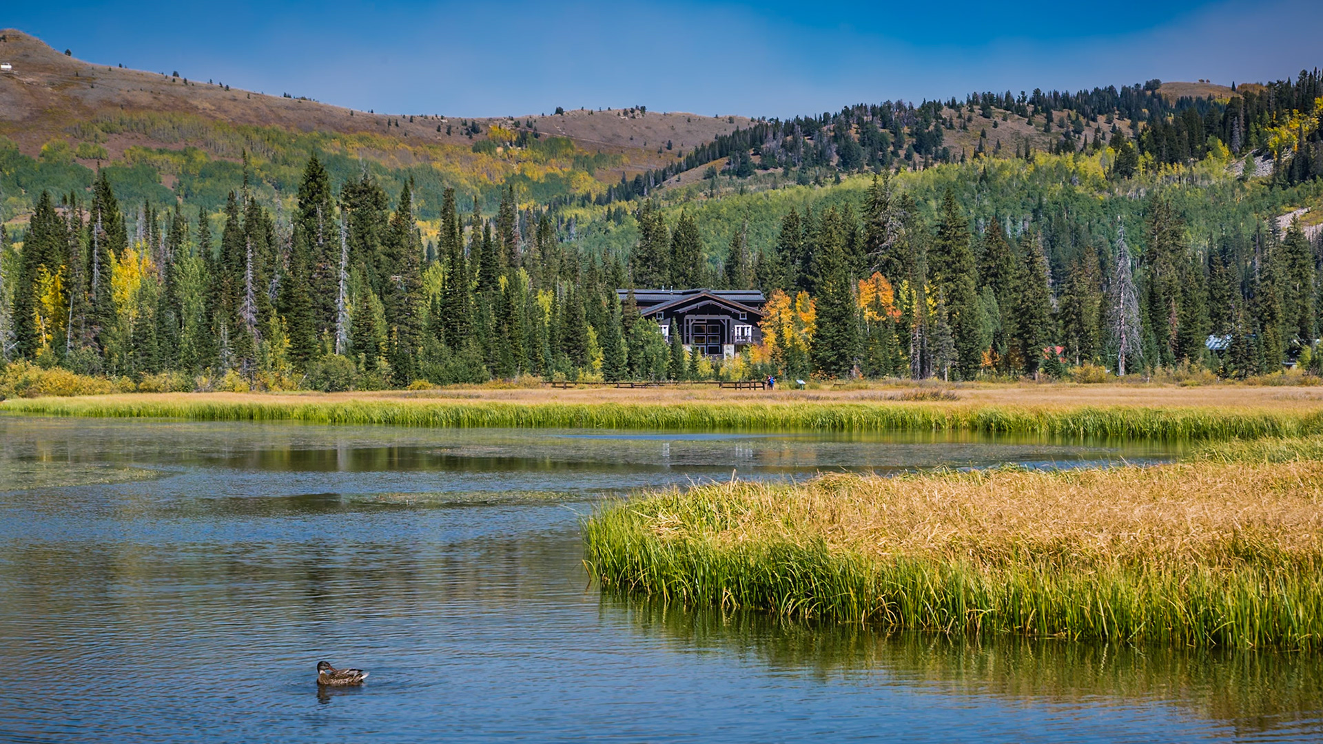180915_065 Grassy wetlands surround Silver Lake in Big Cottonwood Canyon near Salt Lake City, Utah