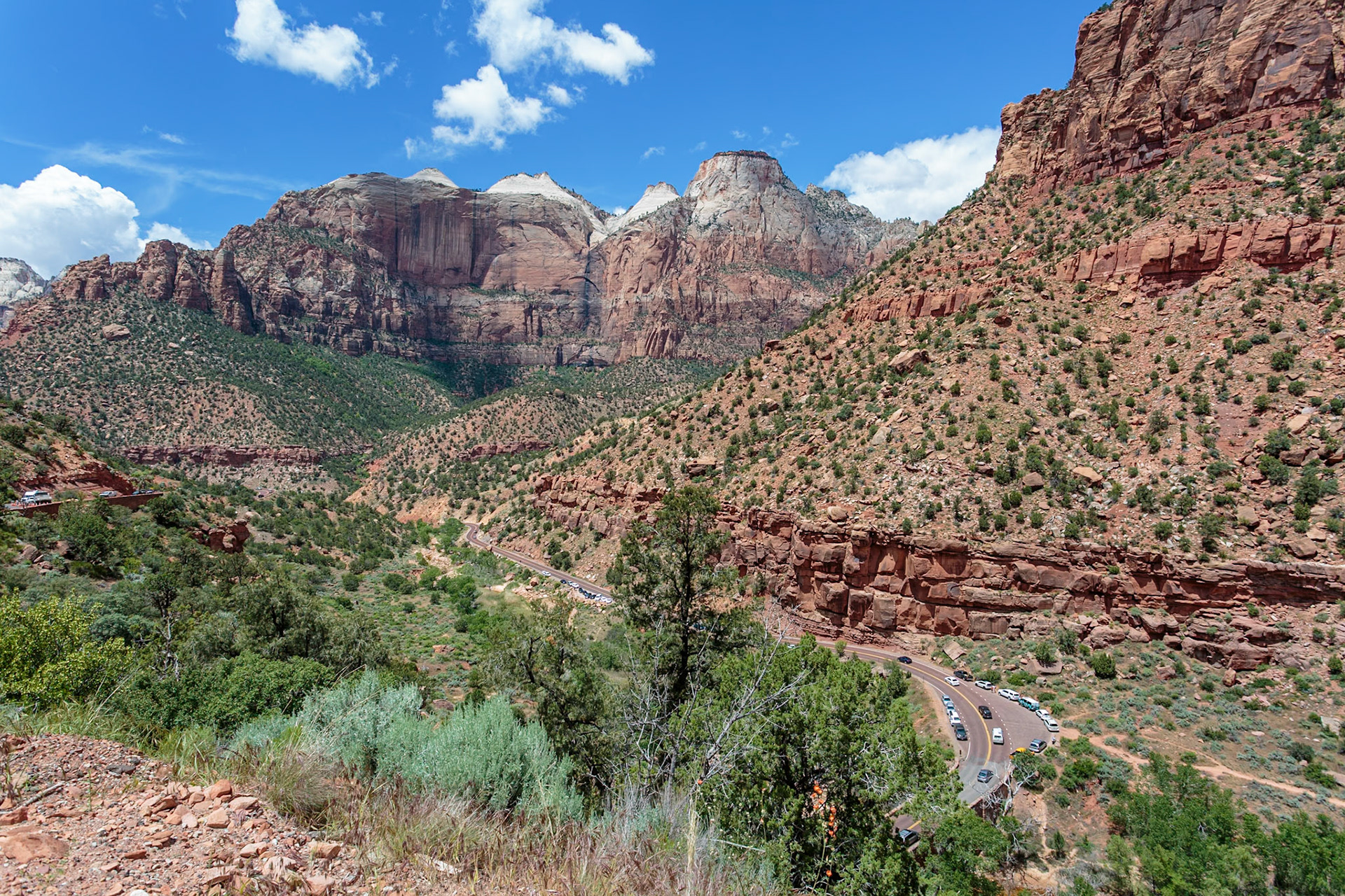 190529_176 Zion Park Boulevard running through Zion Canyon  along the Zion Park Boulevard in Zion National Park, Utah