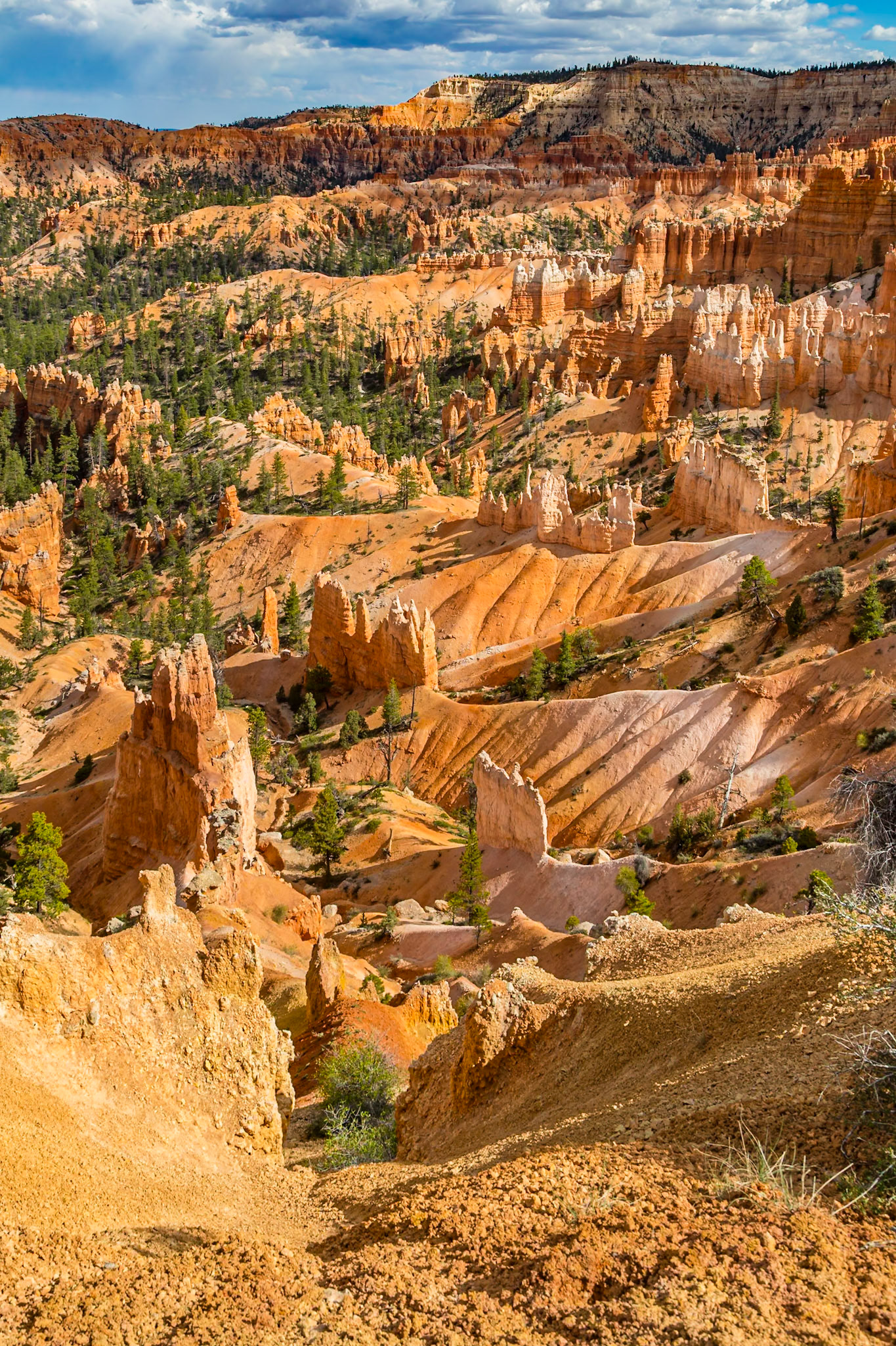 190603_594 Sunset Point lookout in Bryce Canyon National Park in Utah