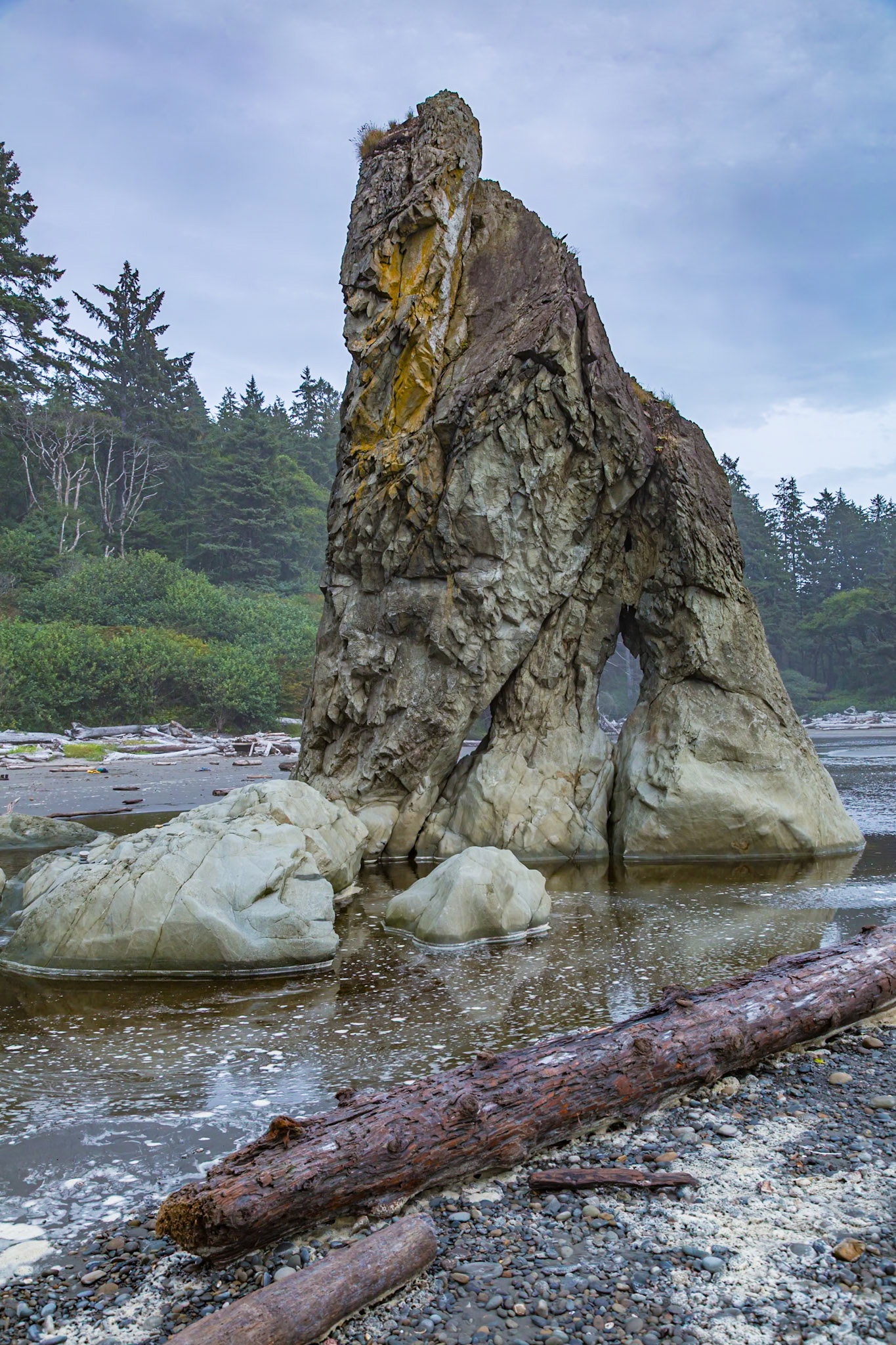 180910_084 Large rock seastacks at Ruby Beach in the Olympic National Park near Forks, Washington