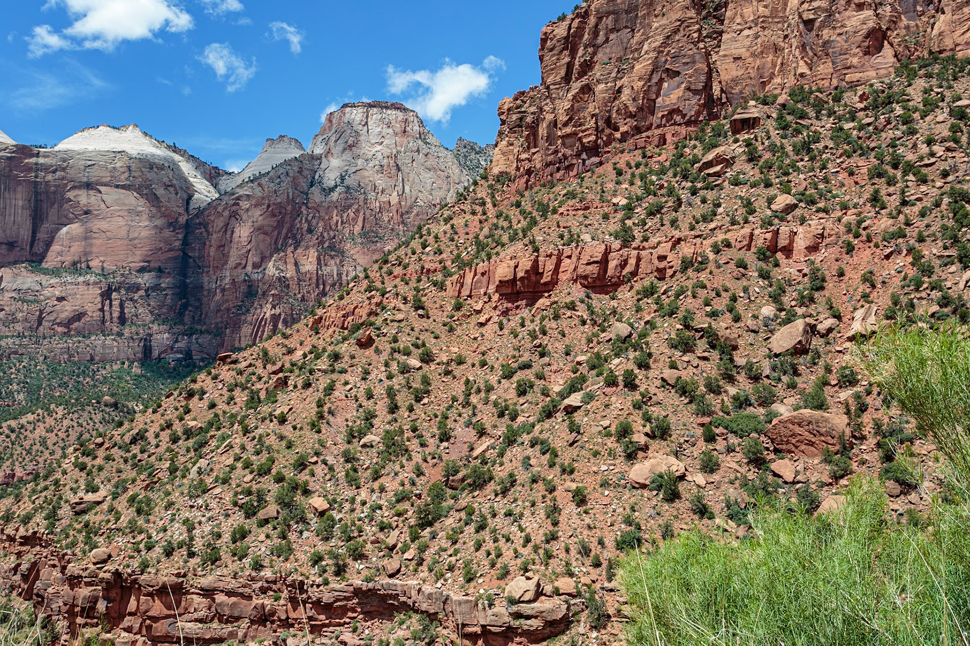 190529_172 Rugged mountains with various geology in Zion National Park, Utah