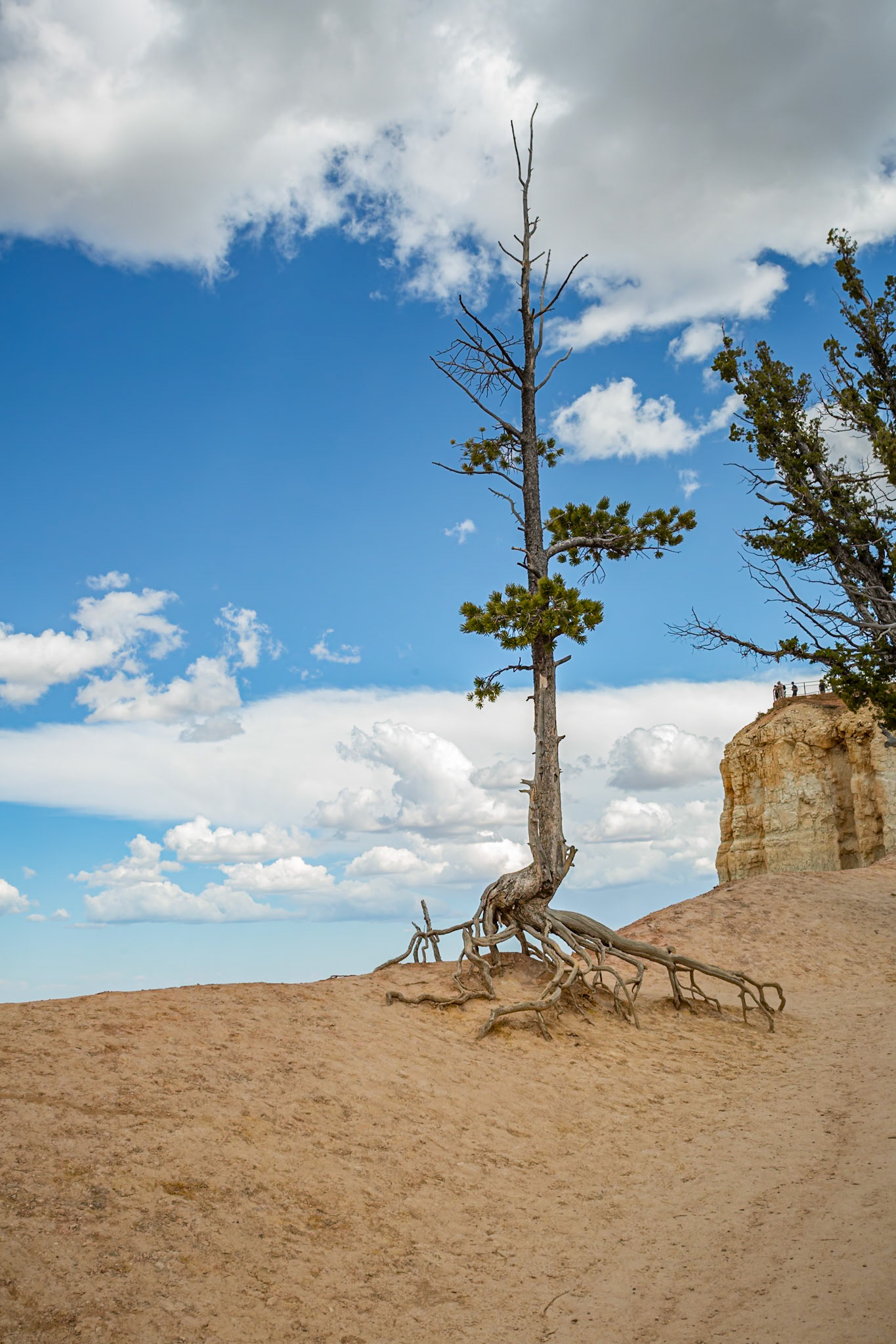 190603_484 Inspiration Point lookout in Bryce Canyon National Park in Utah