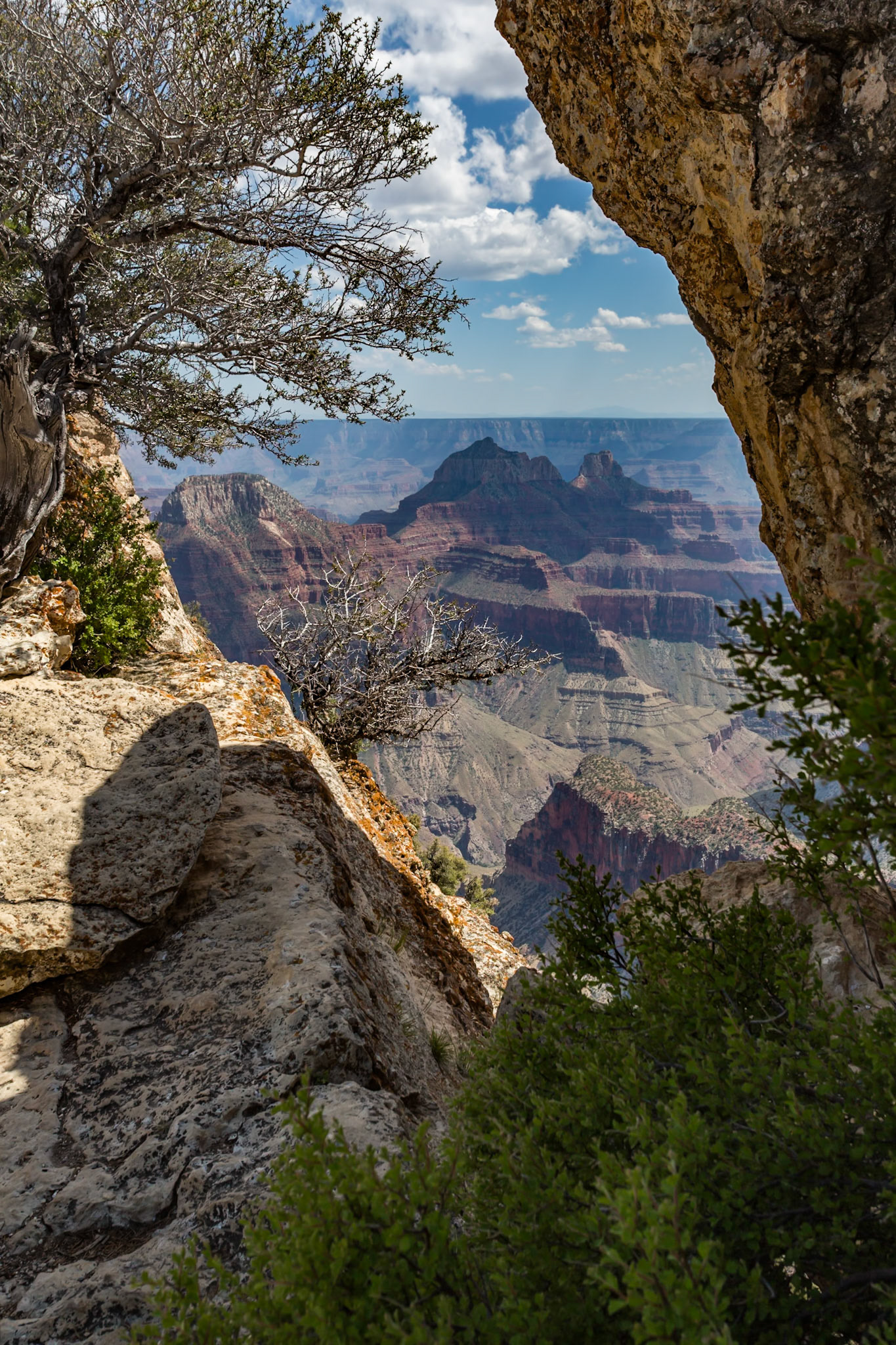 190601_086 North Rim of the Grand Canyon in Northern Arizona, USA