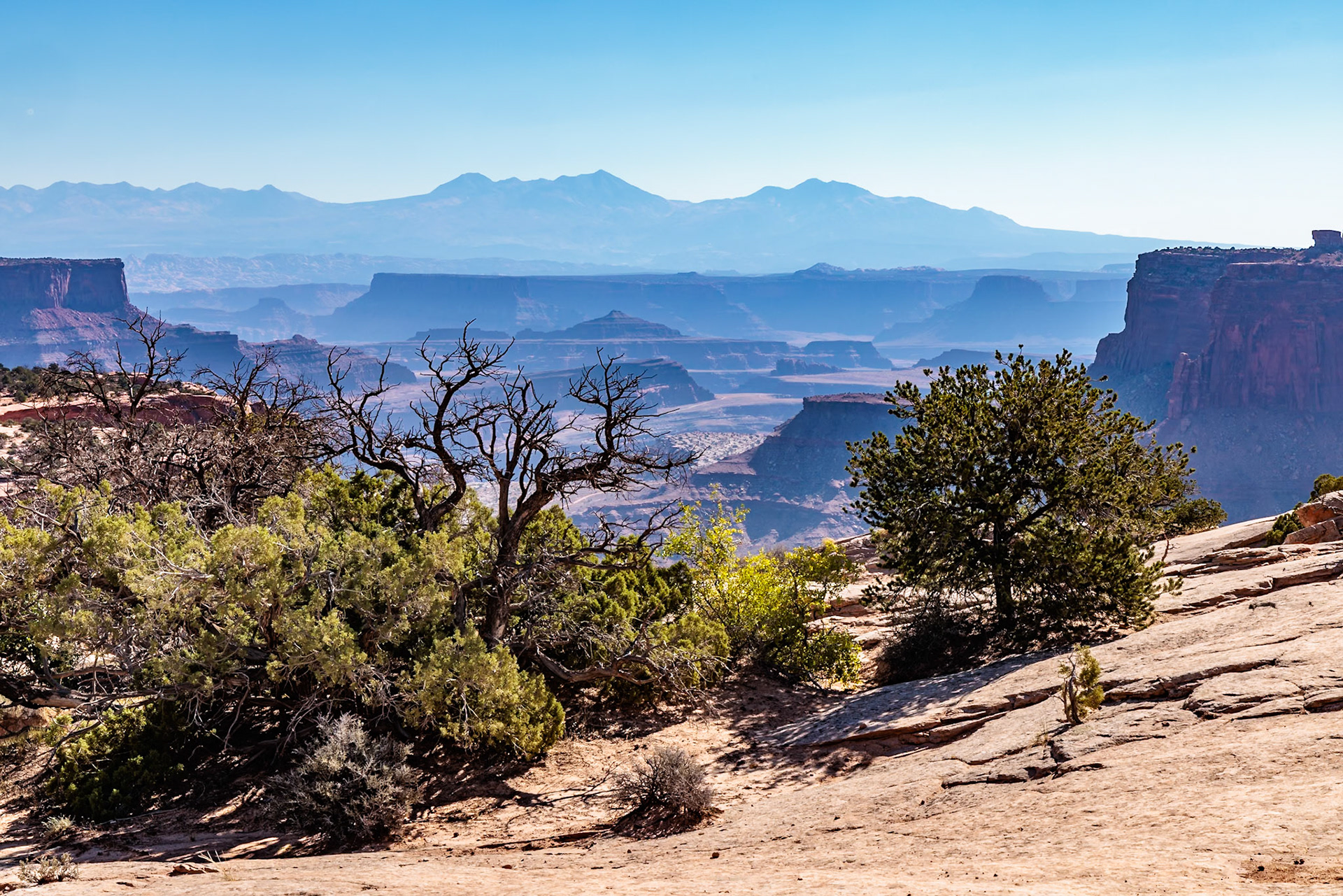 240928_007 Buttes formed by weathering and erosion at the Island in the Sky area of Canyonlands National Park, Utah, USA