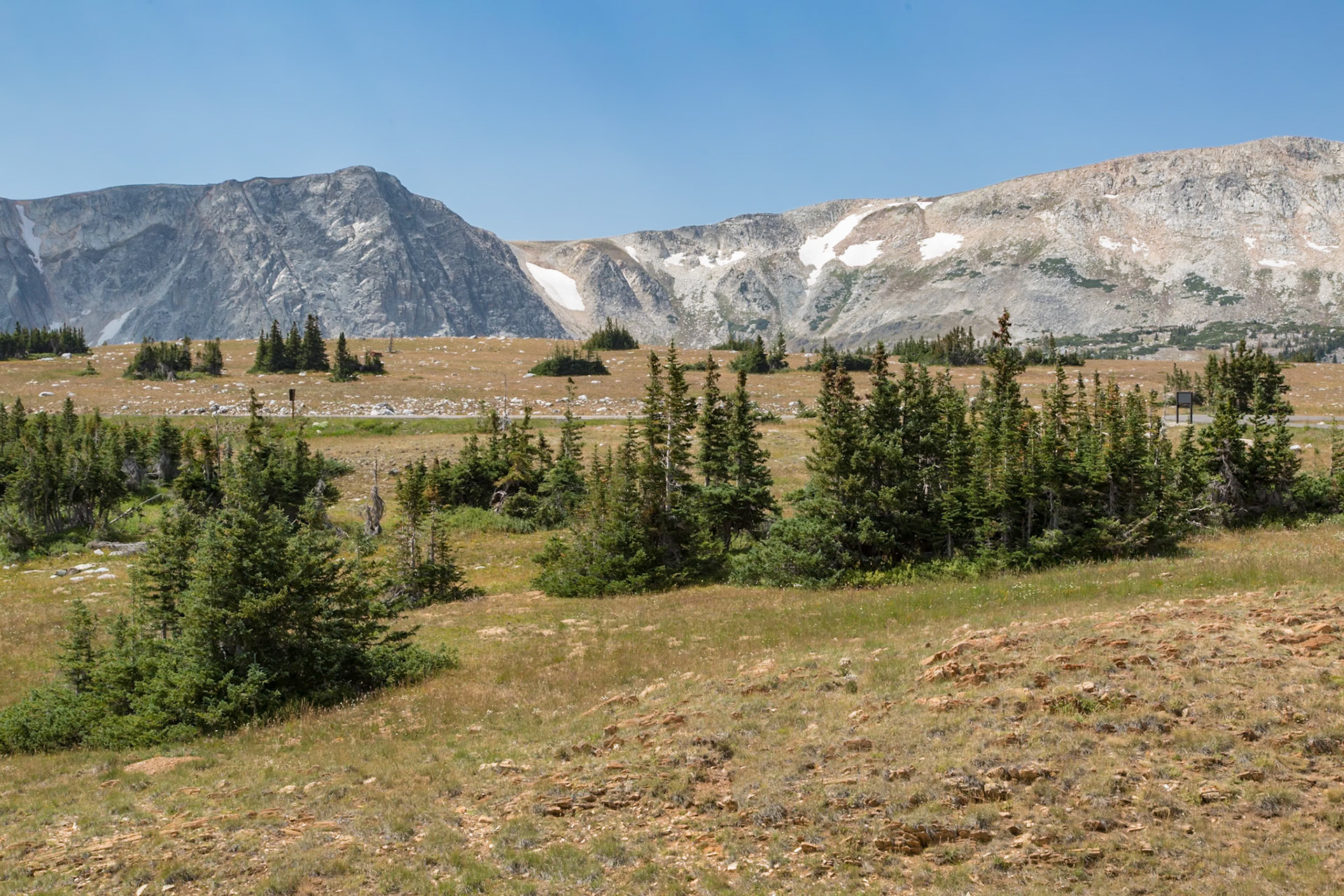 180811_192 Snow remains in the mountains in August at the Snowy Range Pass in the Medicine Bow National Forest in Wyoming