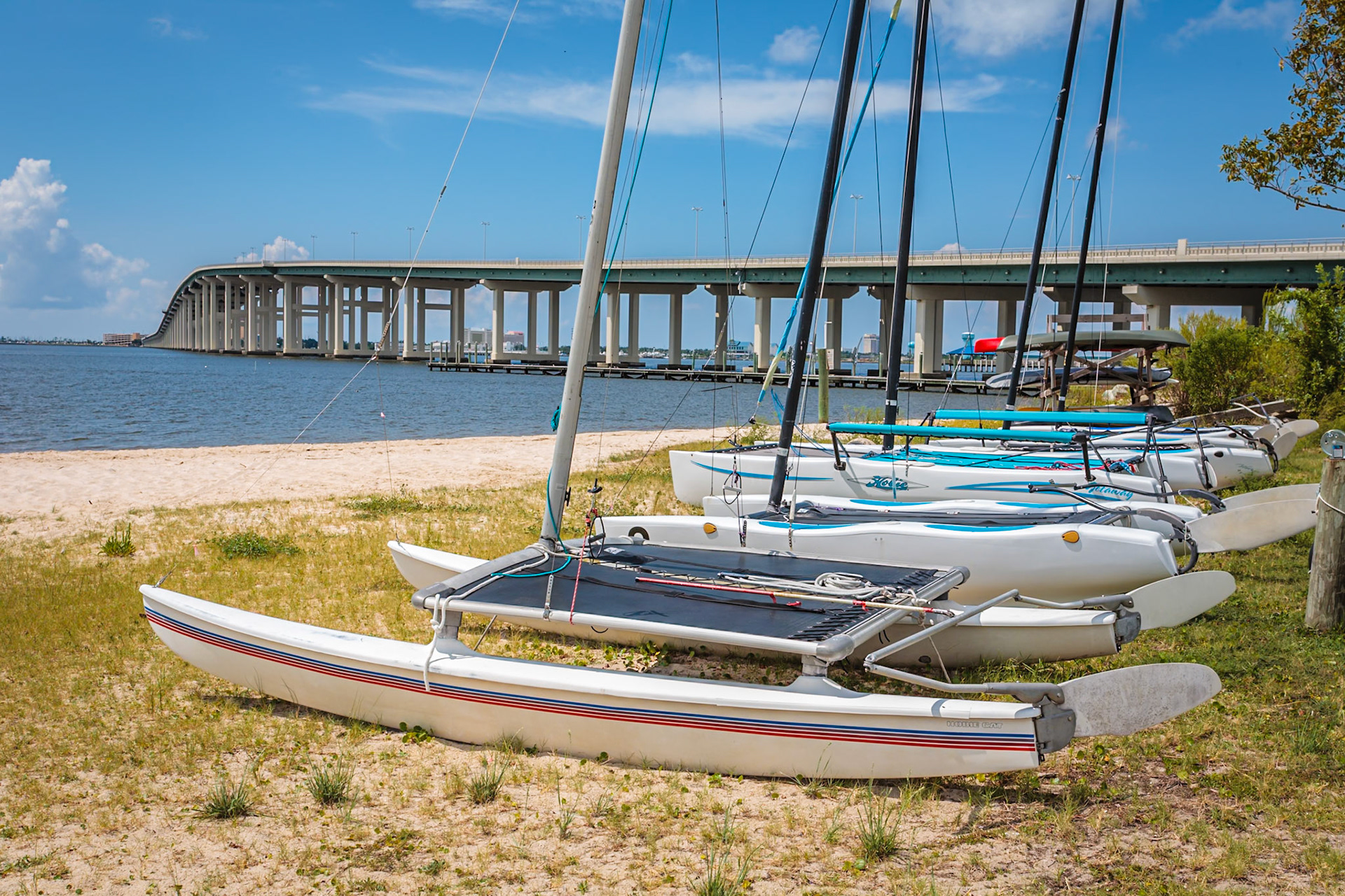 140910_012 Hobie Cats and other catamarans on the shoreline of the Ocean Springs Yacht Club in Ocean Springs, Mississippi