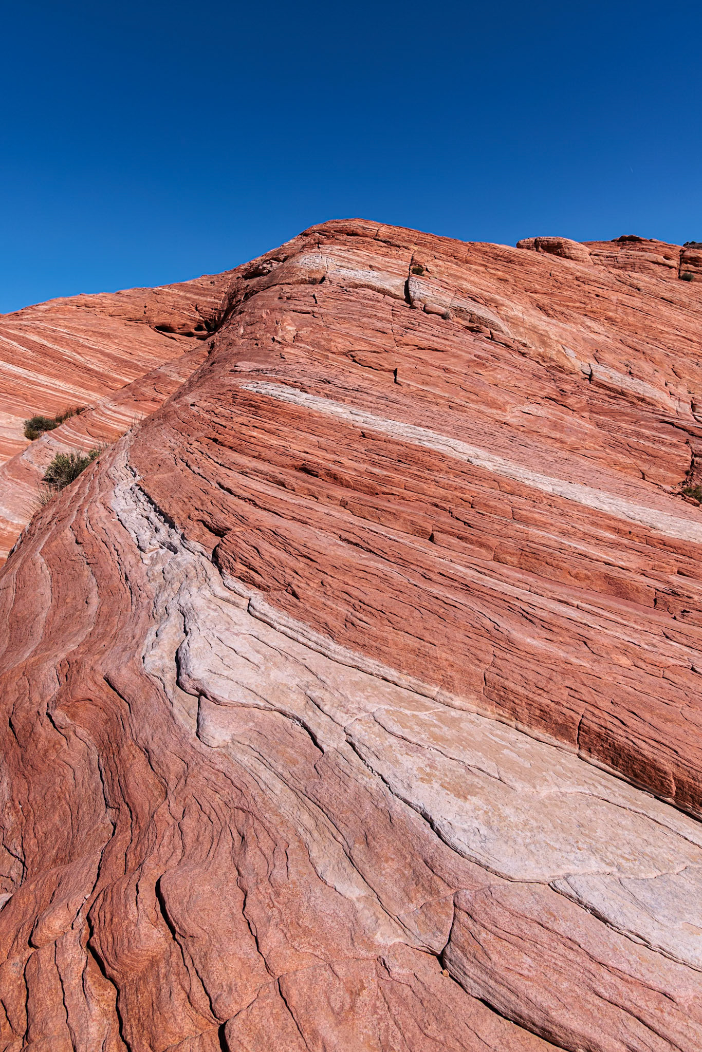 230330_137 Layered rock formations along the Fire Wave Trail at Valley of Fire State Park near Overton, Nevada
