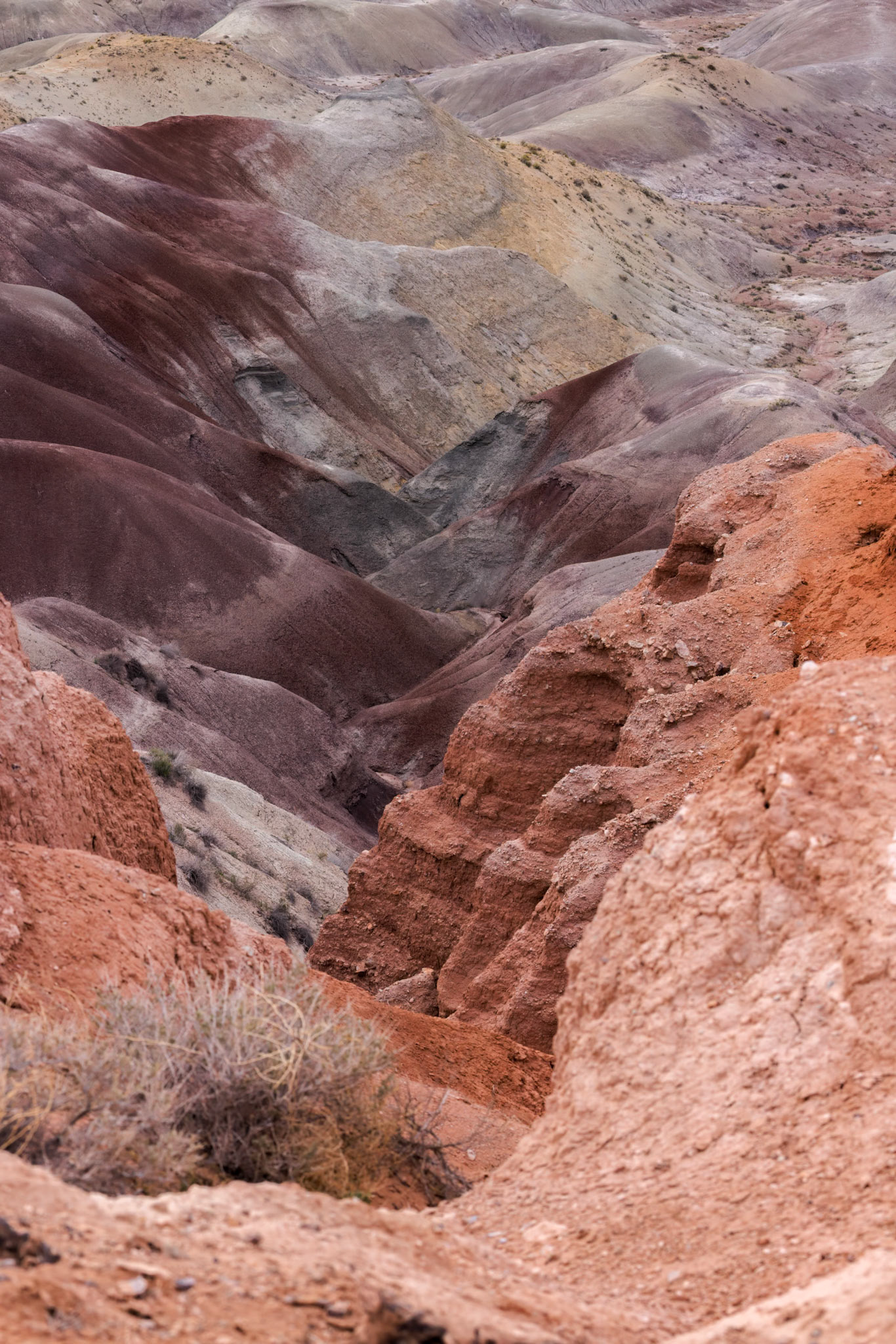230411_277-E Colorful deposits of the Chinle Formation exposed at Little Painted Desert County Park near Winslow, Arizona