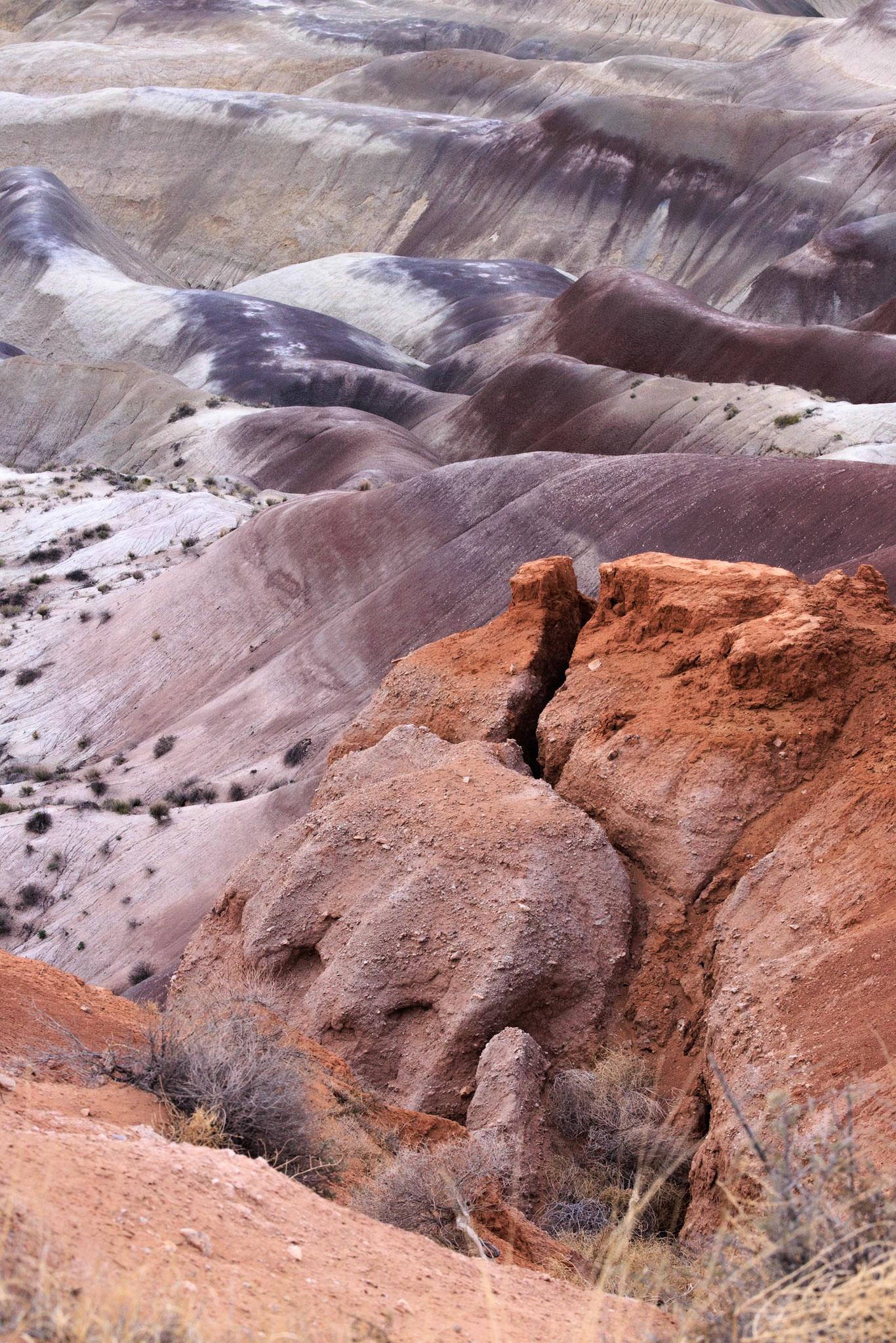 230411_286 Colorful deposits of the Chinle Formation exposed at Little Painted Desert County Park near Winslow, Arizona