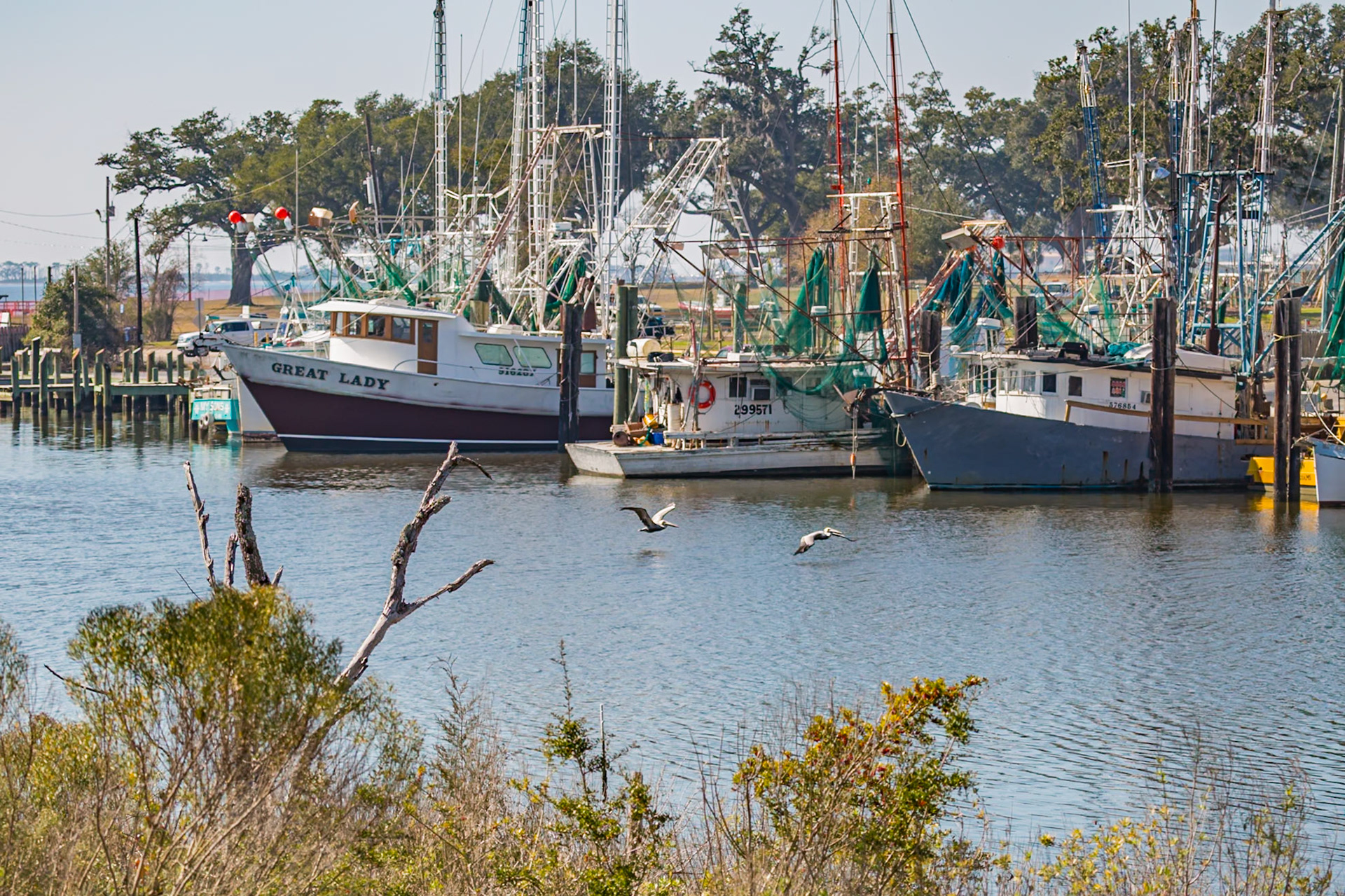 150121_064 Private and commercial boats in the Inner Harbor at Ocean Springs, Mississippi