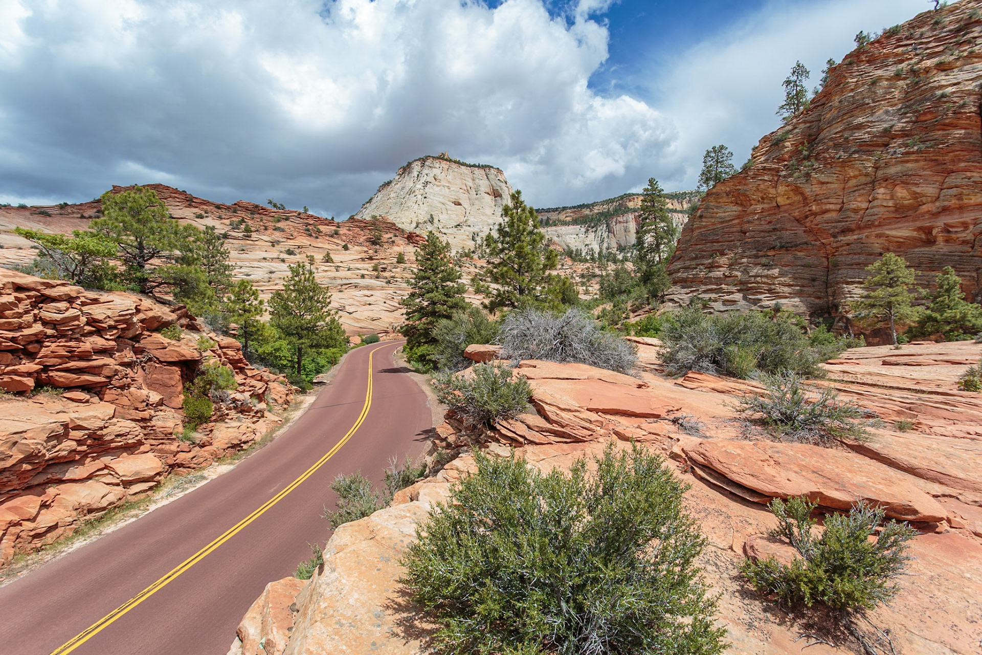 190529_277 Patterns of erosion on the rocky mountainside along the Zion Park Boulevard in Zion National Park, Utah