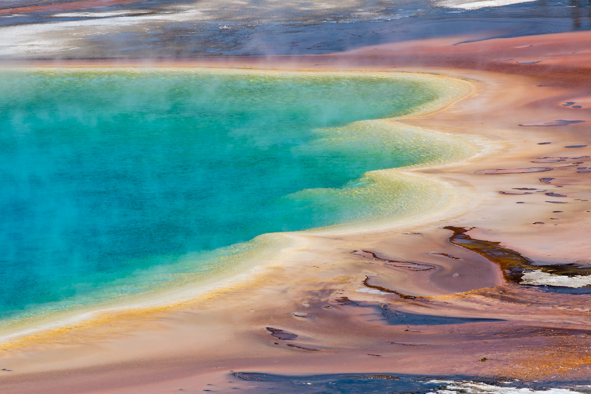180823_019 Close up view of the outer perimeter of the Grand Prismatic Spring in the Midway Geyser Basin of Yellowstone National Park, Wyoming