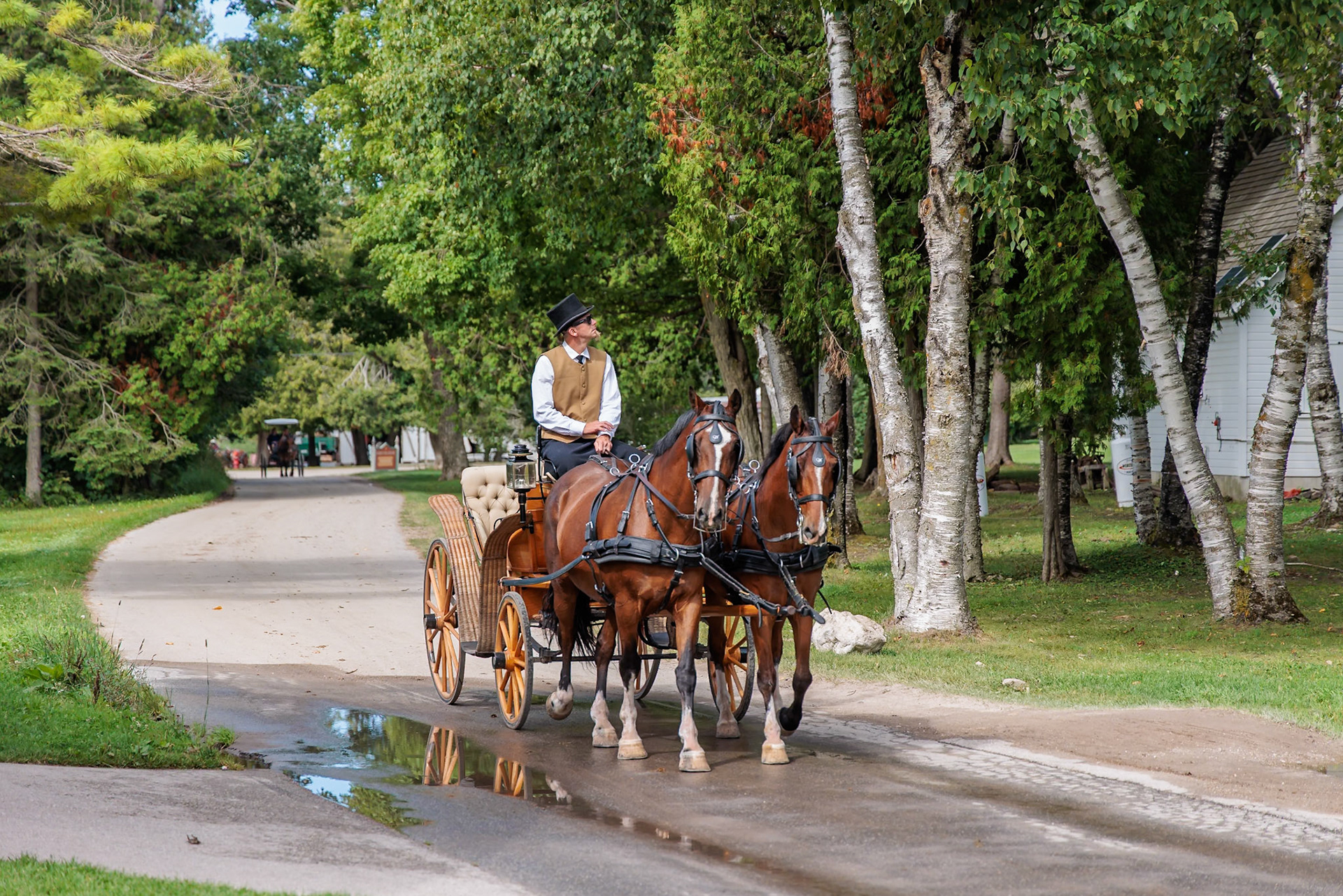 250821_033 Horse and carriage vendor on Mackinac Island, Michigan, USA