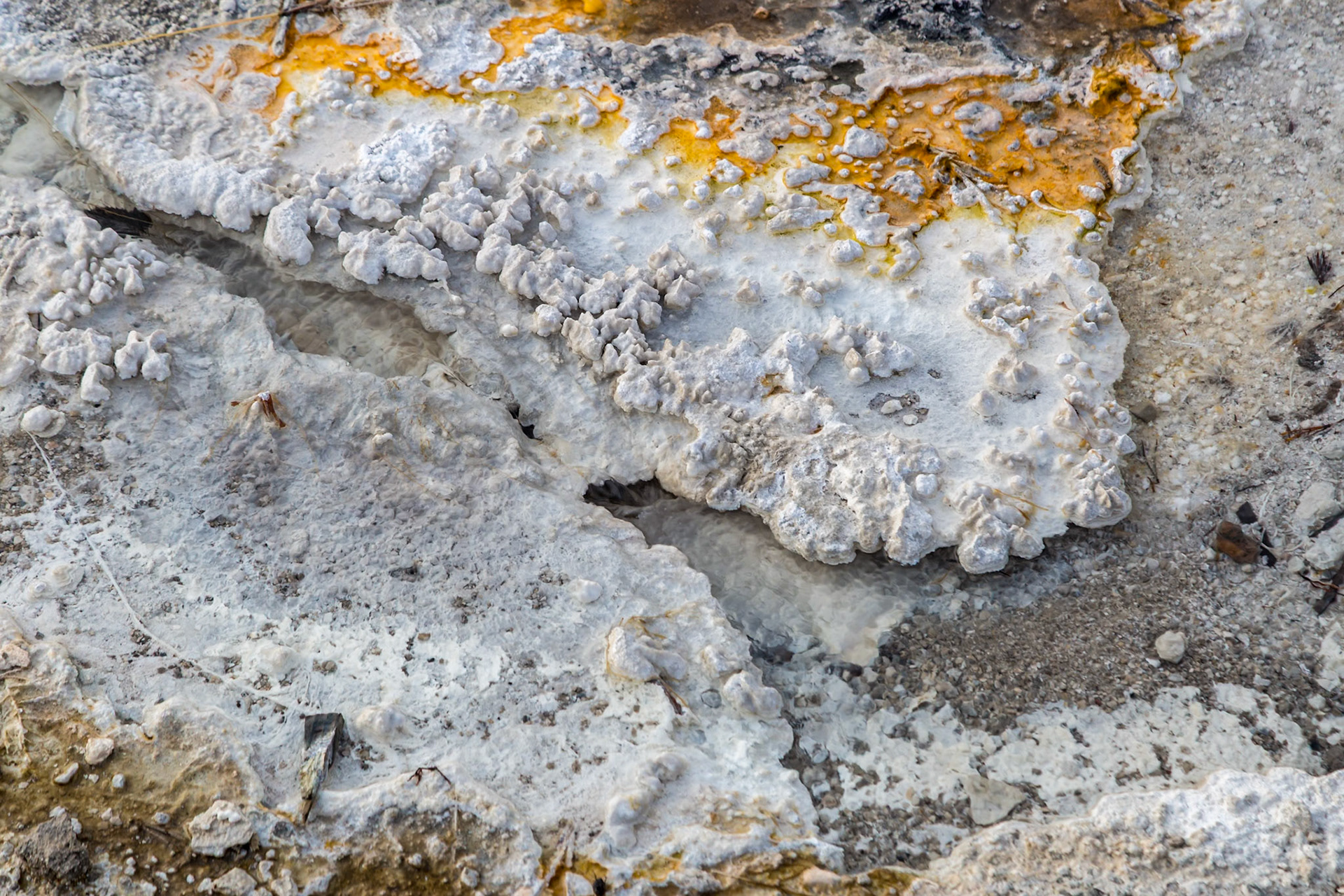 180818_053 Close up of mineral deposits on the perimeter of a  geyser in the Upper Geyser Basin at Yellowstone National Park