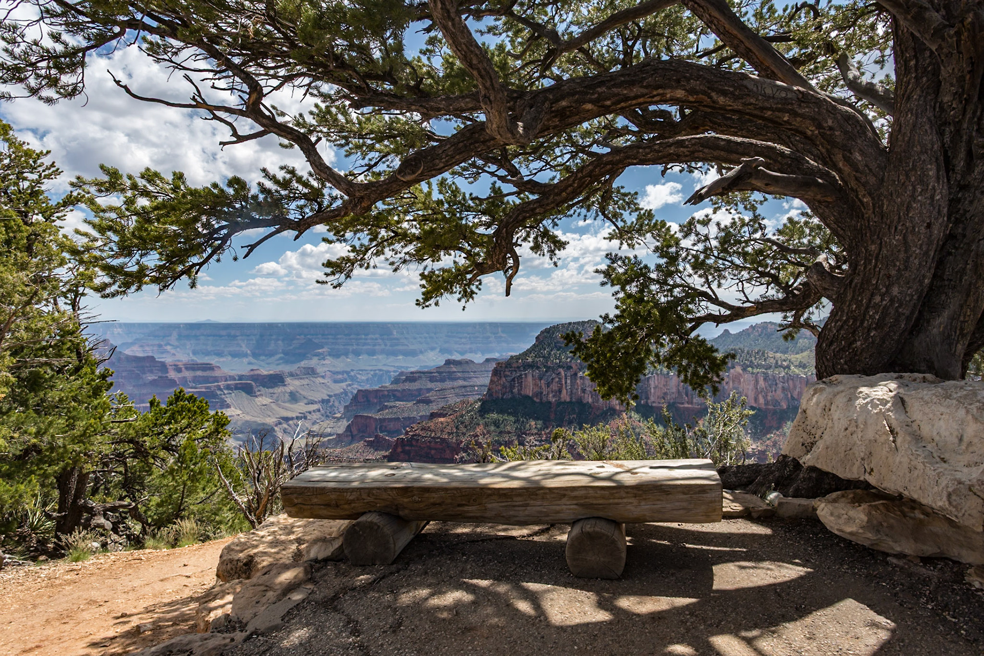 190601_102 North Rim of the Grand Canyon in Northern Arizona, USA