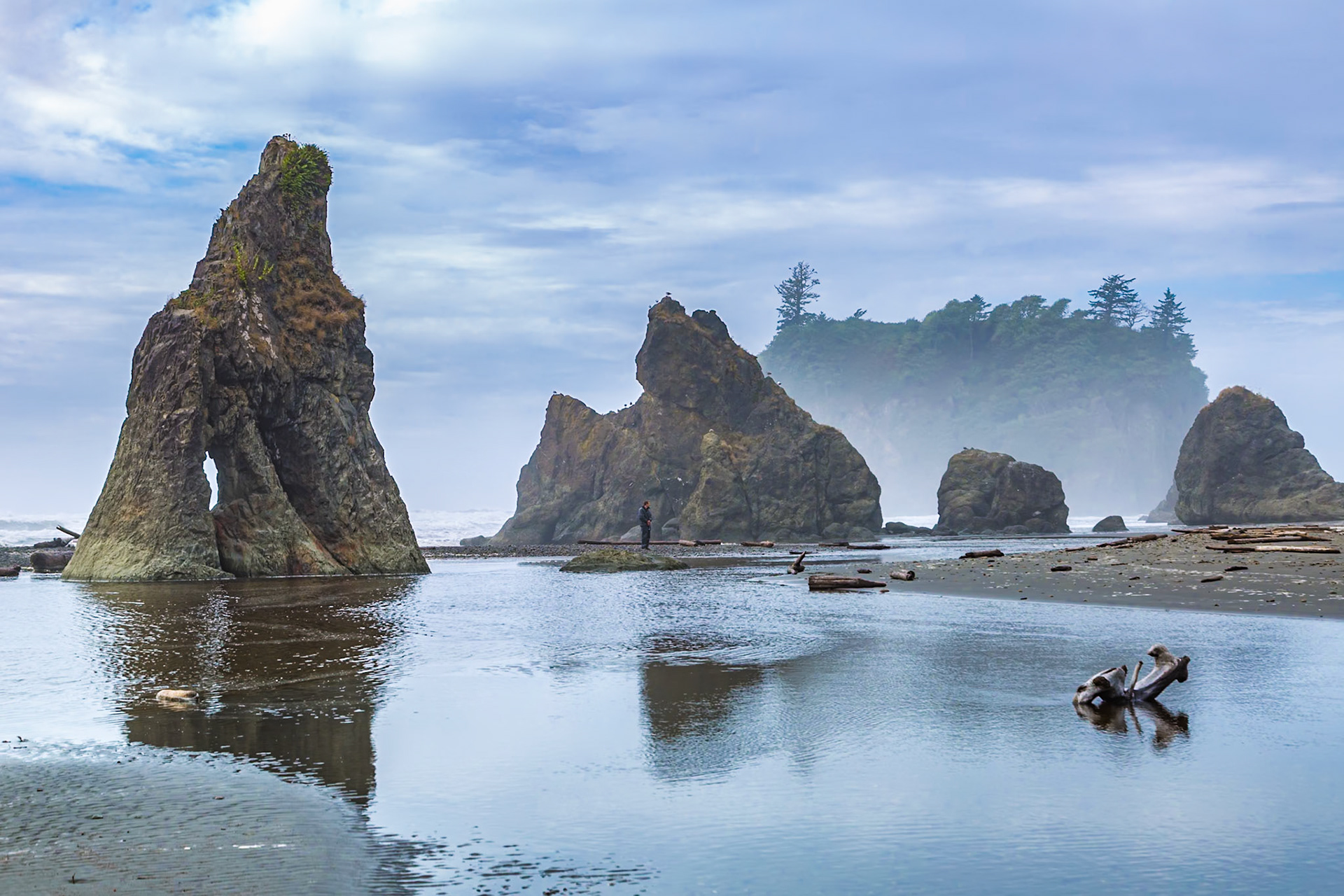 180910_078 Ruby Beach in the Olympic National Park near Forks, Washington