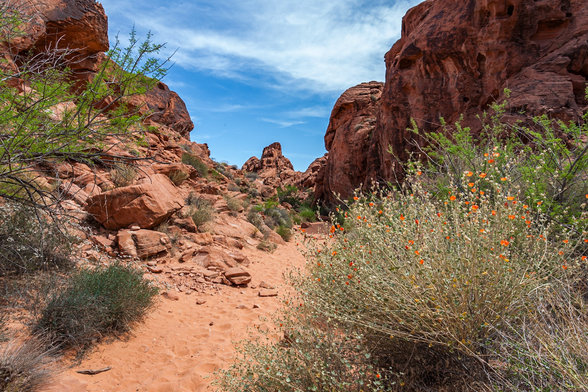 140503_100 Valley of Fire State Park near Overton, Nevada
