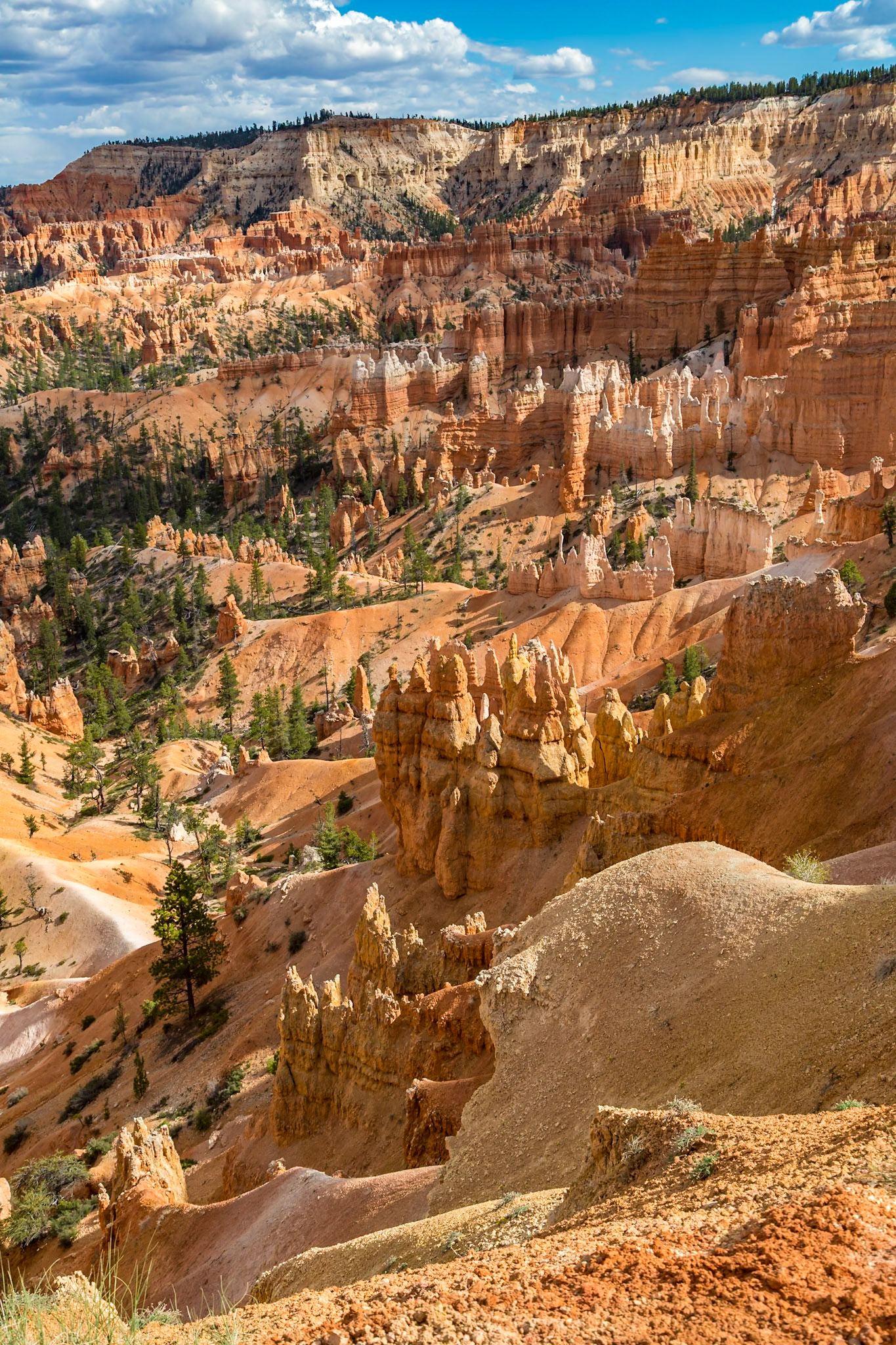 190603_614 Sunset Point lookout in Bryce Canyon National Park in Utah