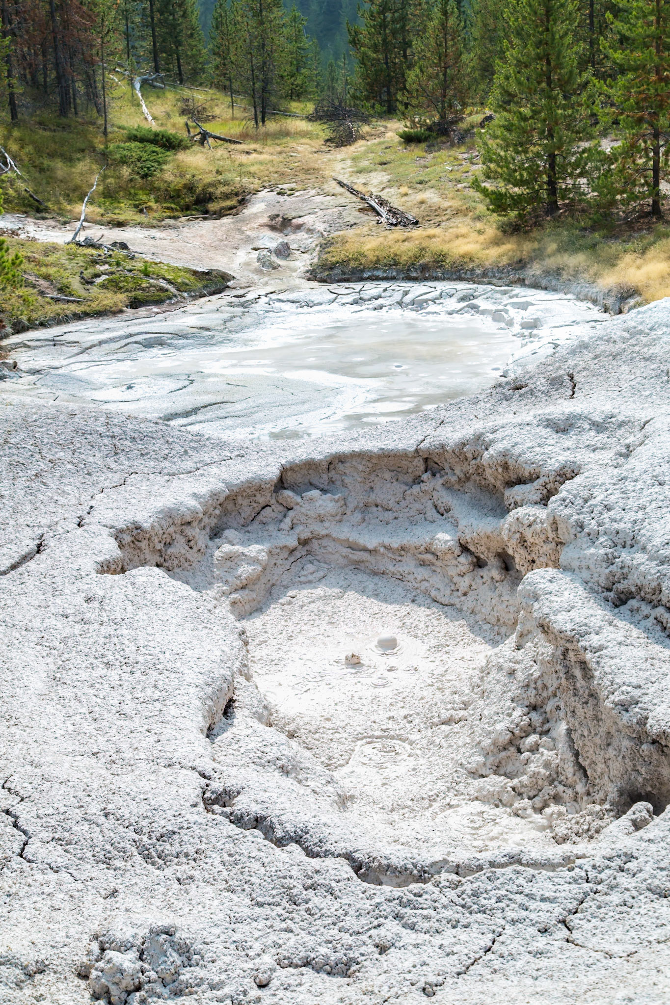 180819_177 Bubbling mudpots in the Artists' Paintpots area of Yellowstone National Park in Wyoming